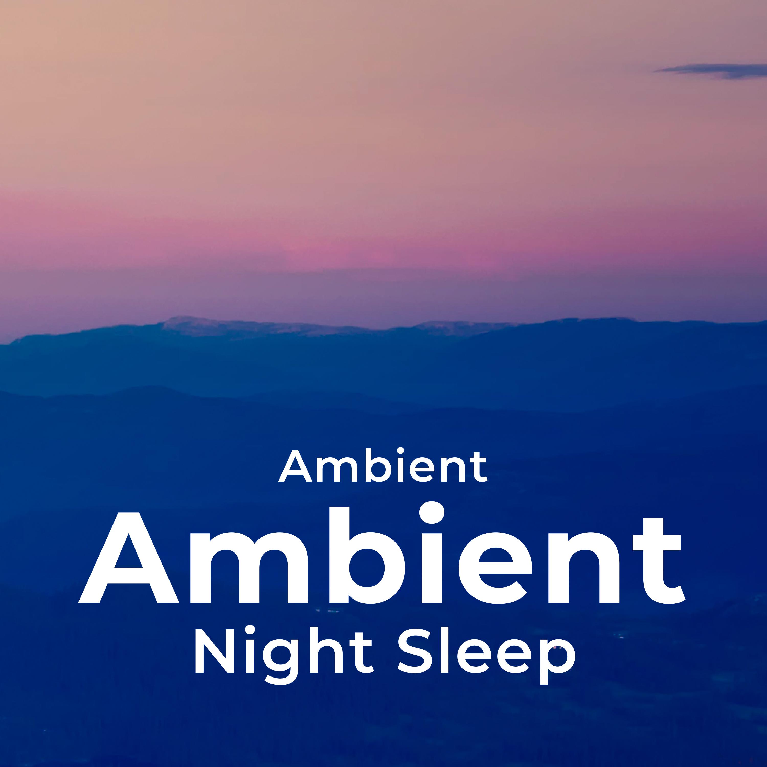 Ambient Night Sleep