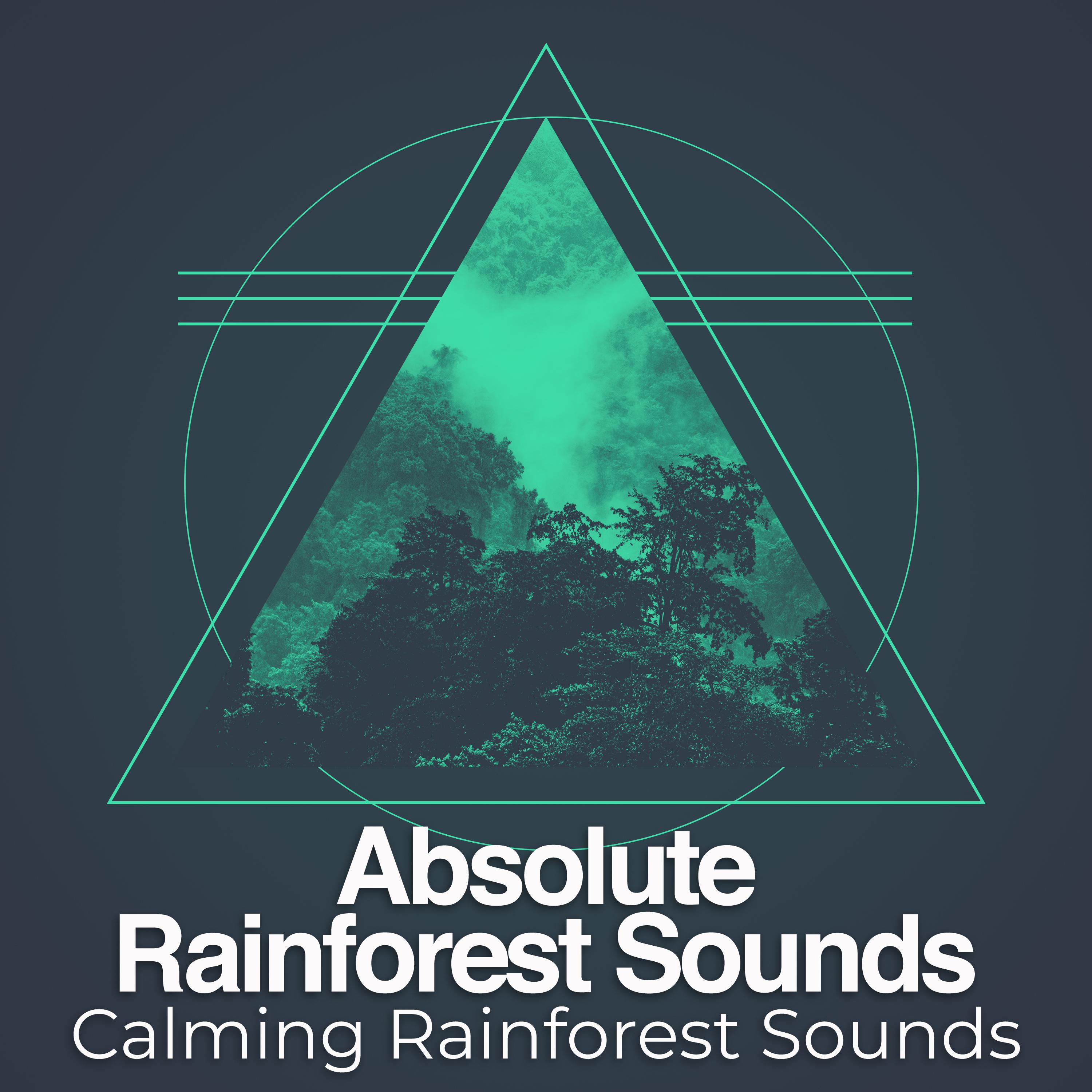Absolute Rainforest Sounds