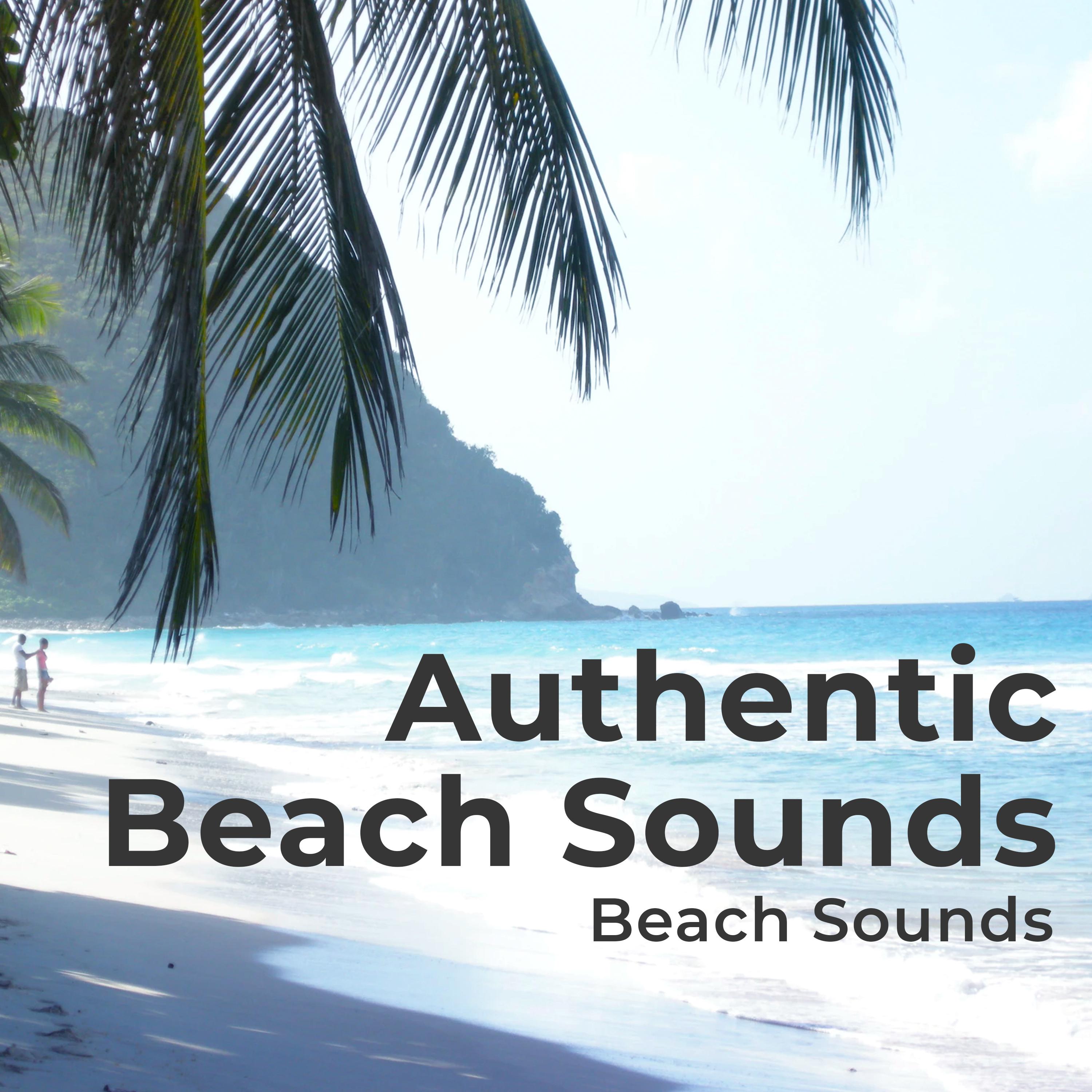 Authentic Beach Sounds