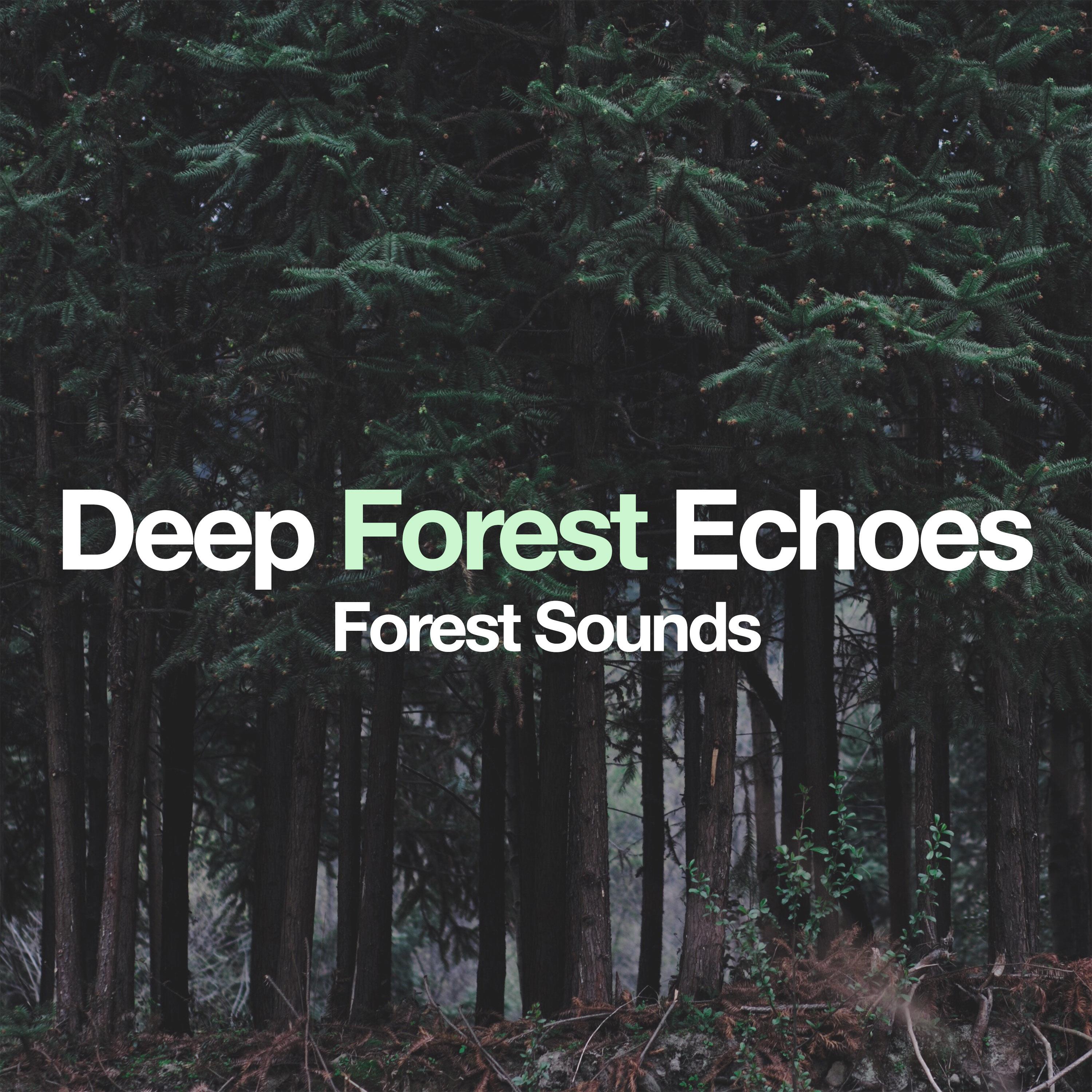 Deep Forest Echoes