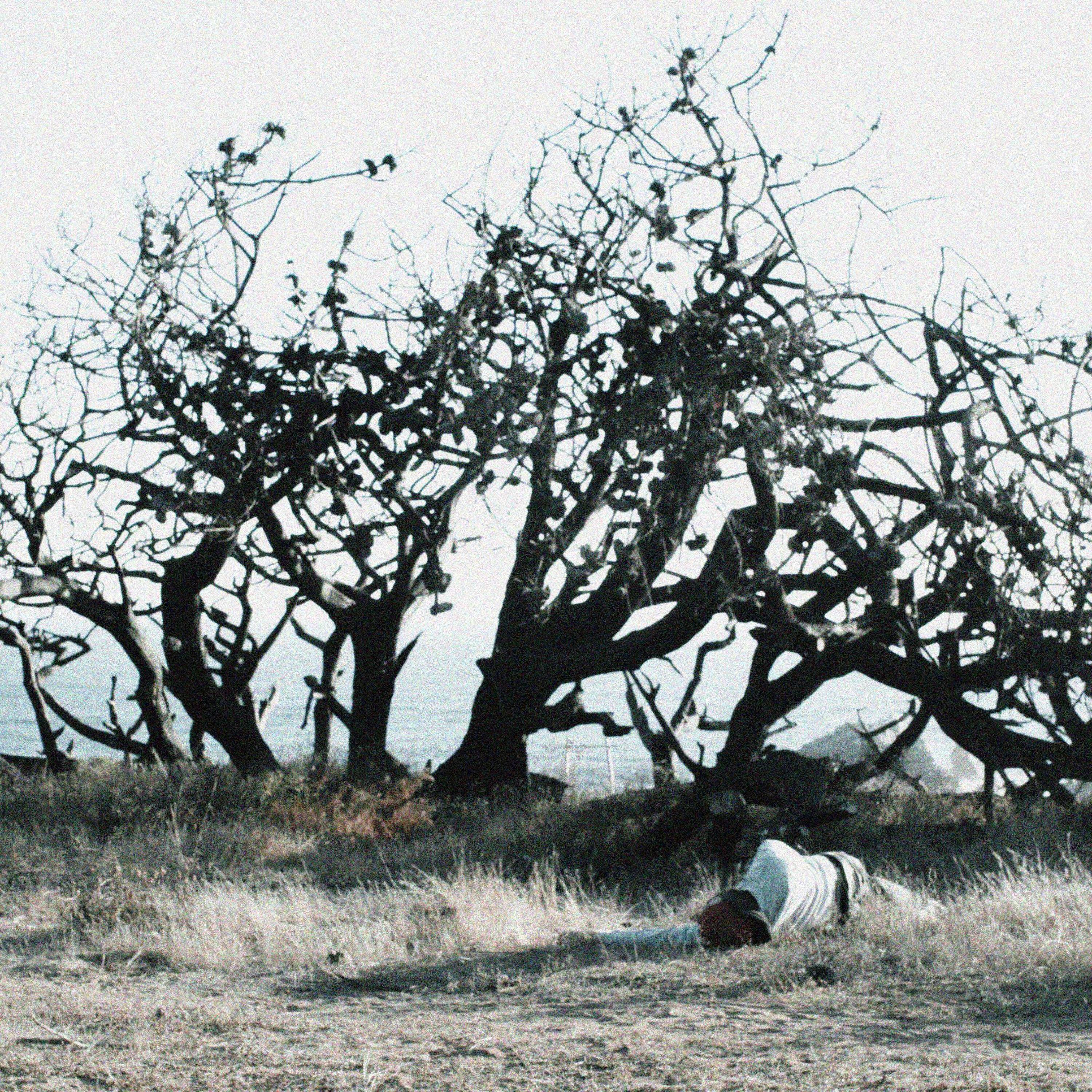 Inviernos y Horizontes