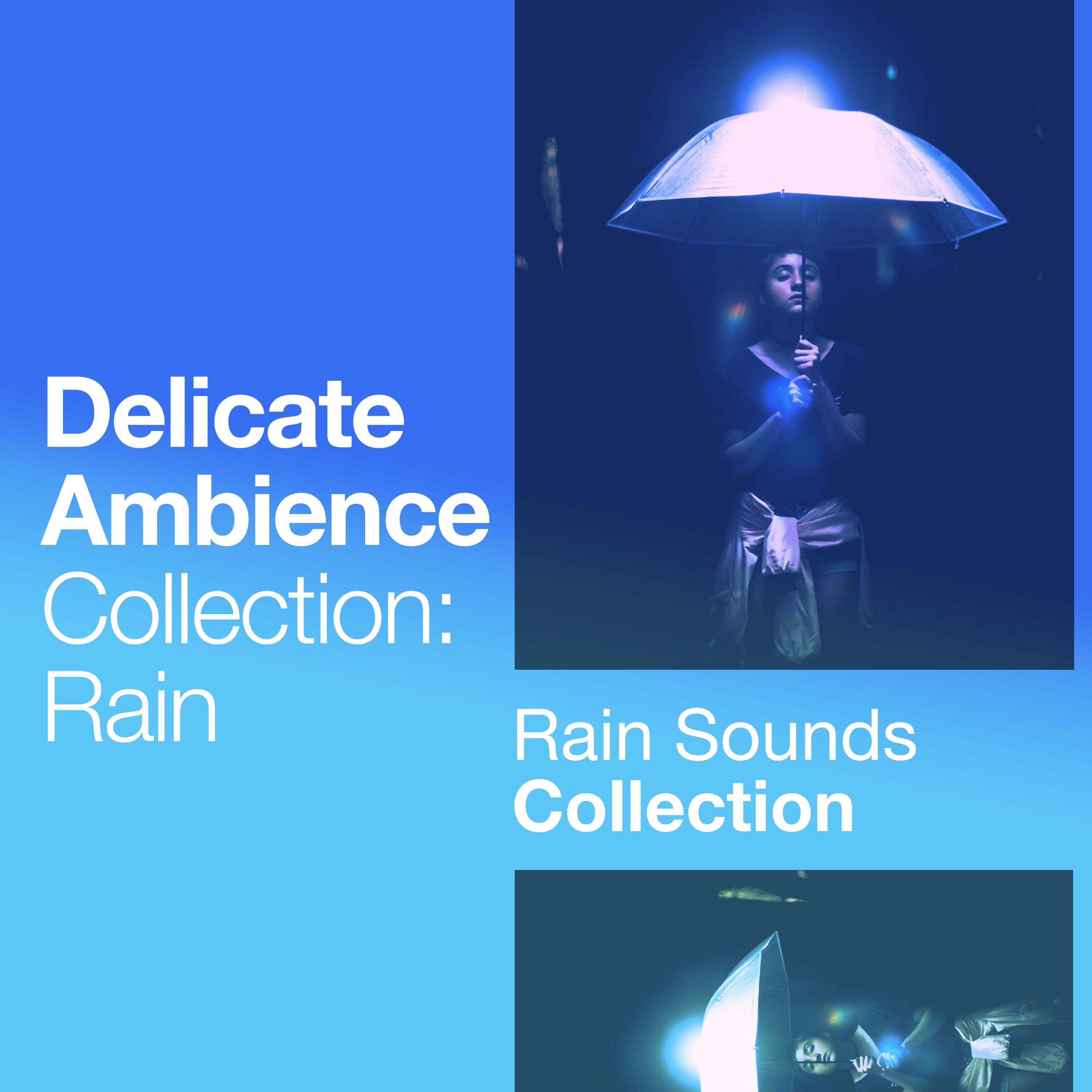 Delicate Ambience Collection: Rain