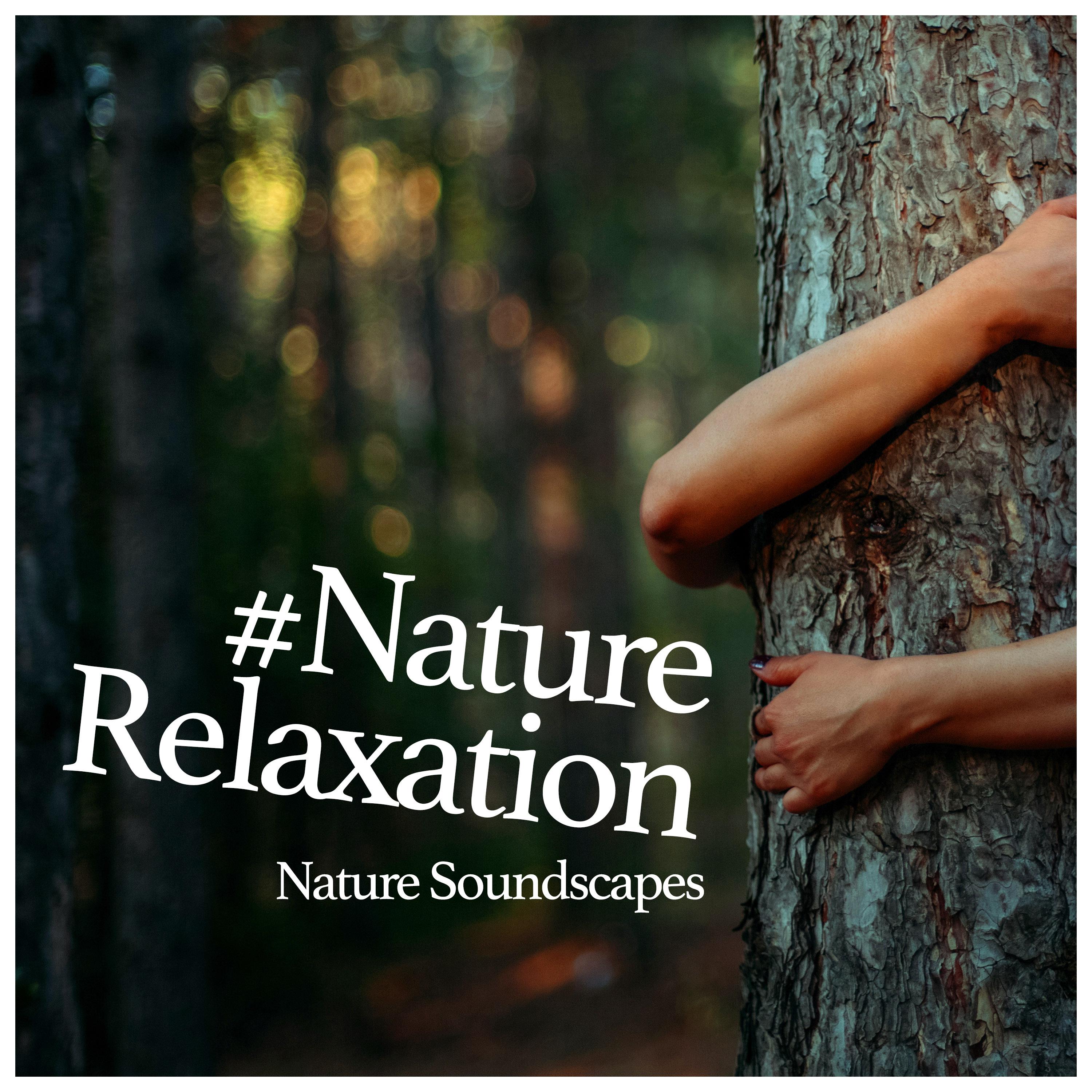#Nature Relaxation