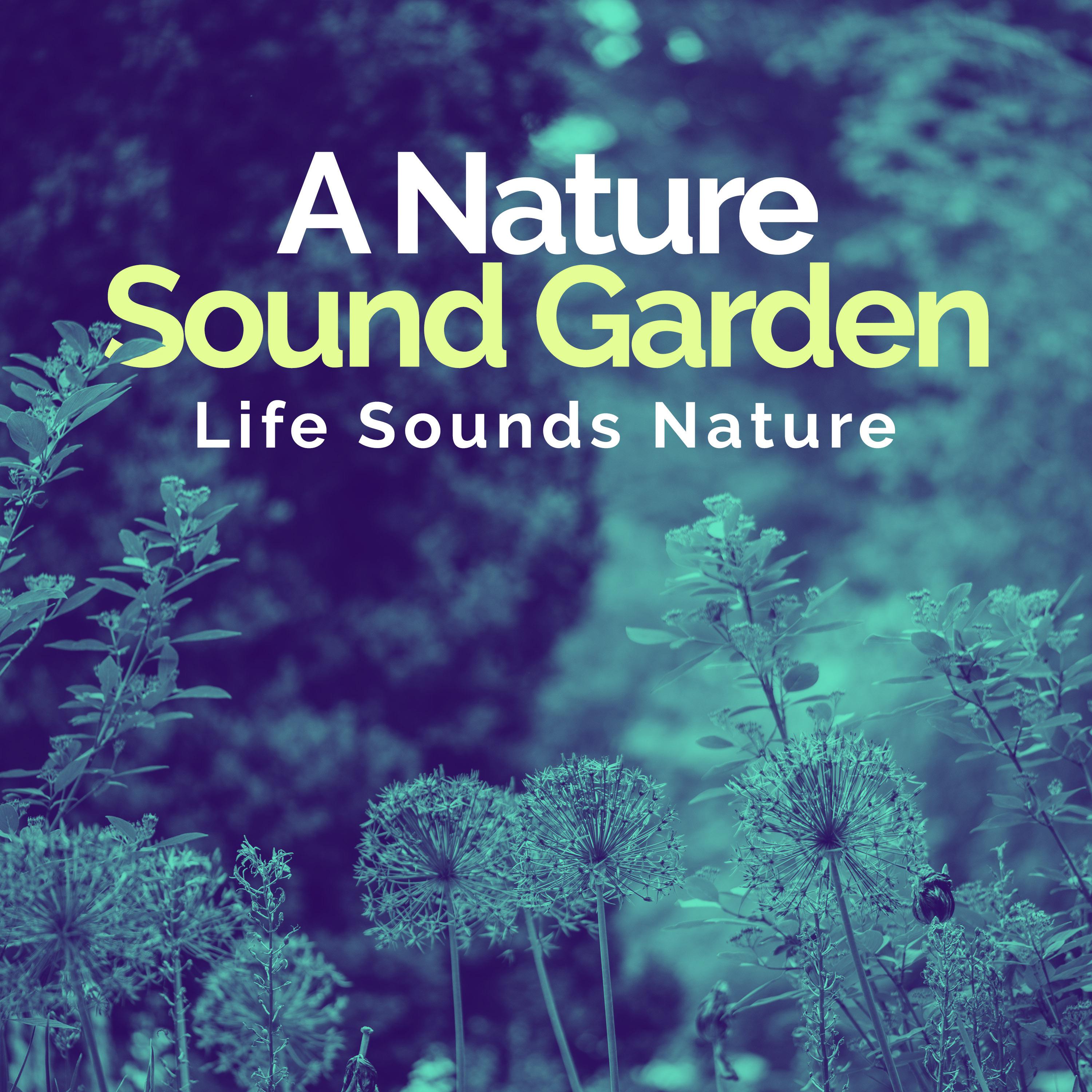 A Nature Sound Garden
