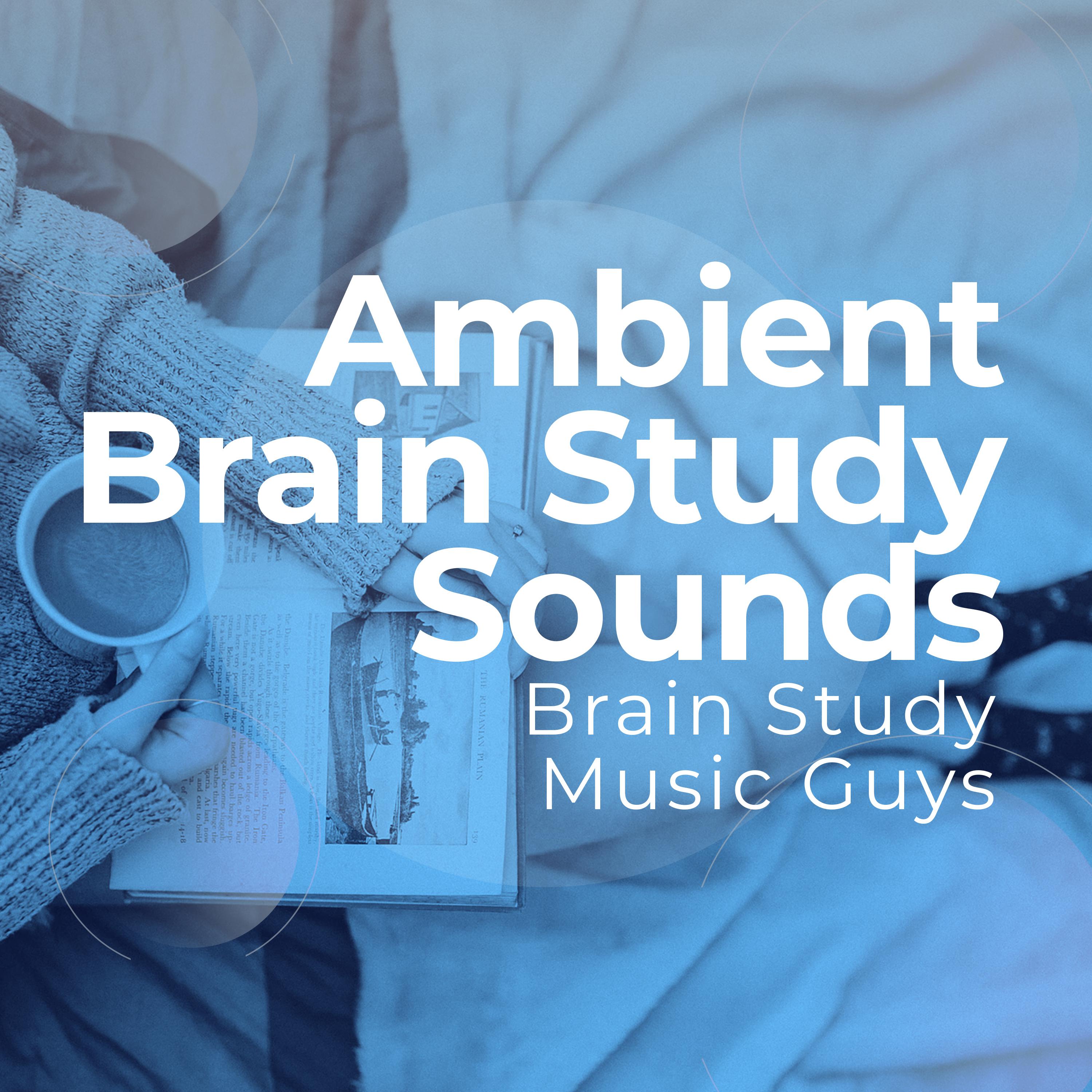 Ambient Brain Study Sounds