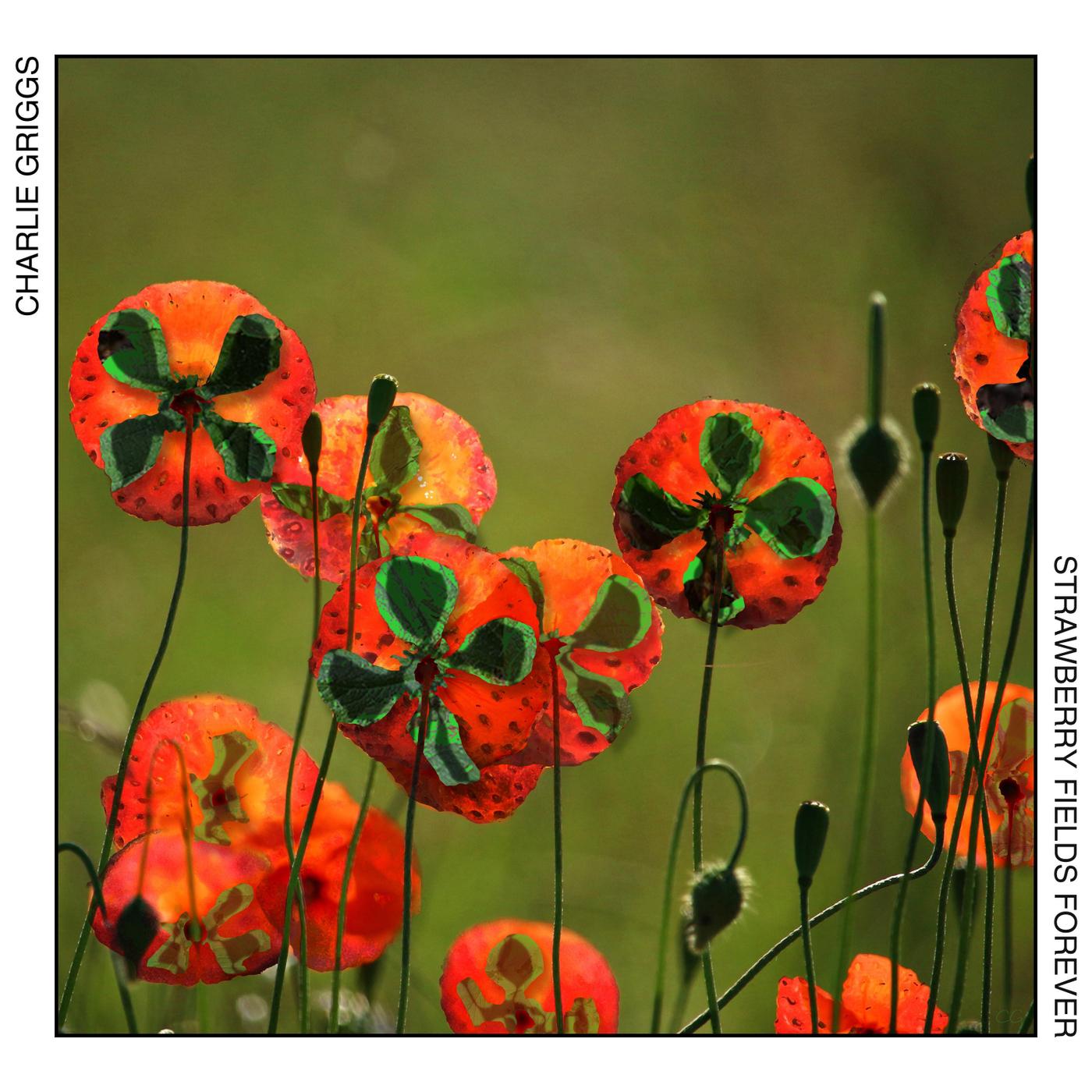 Strawberry Fields Forever