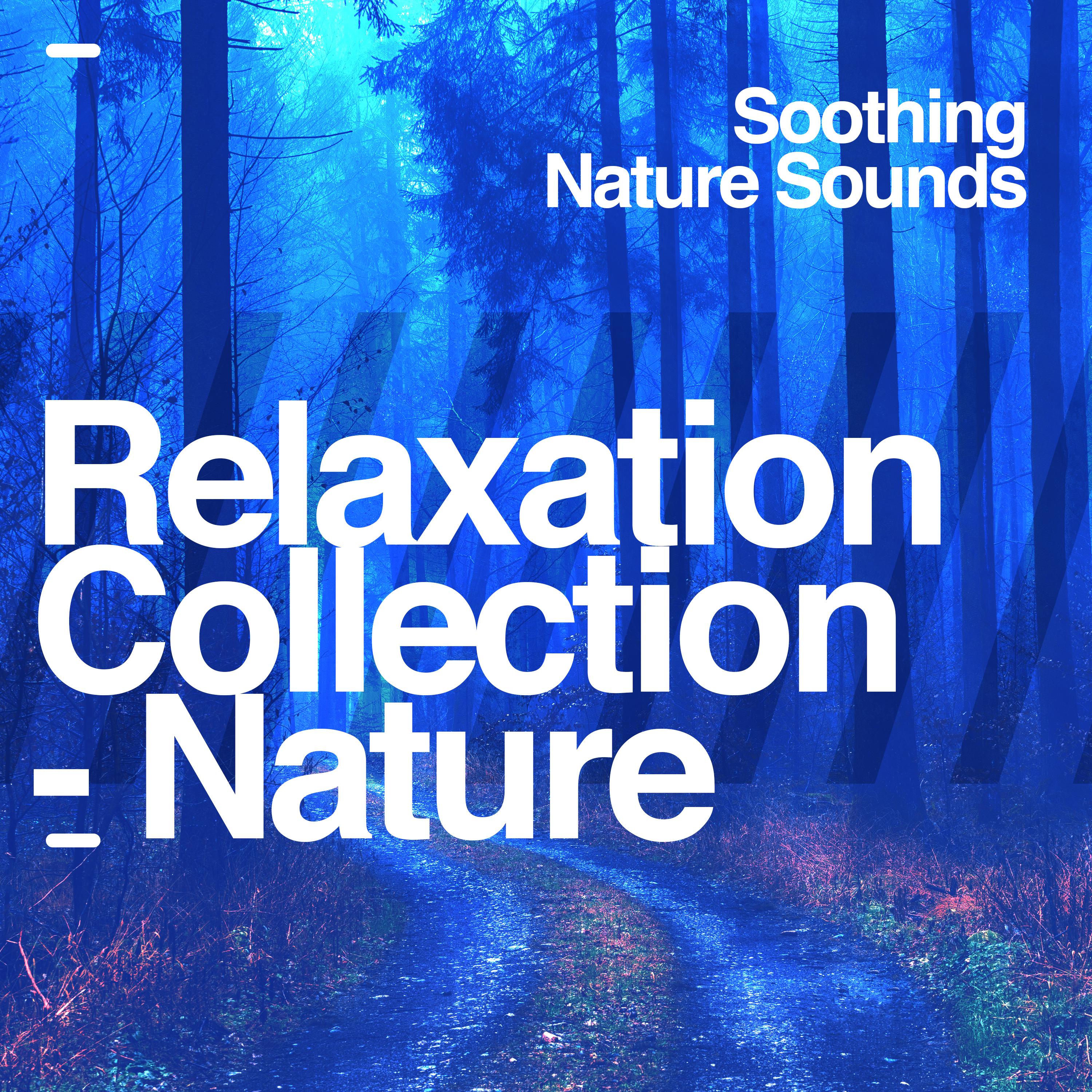 Relaxation Collection - Nature