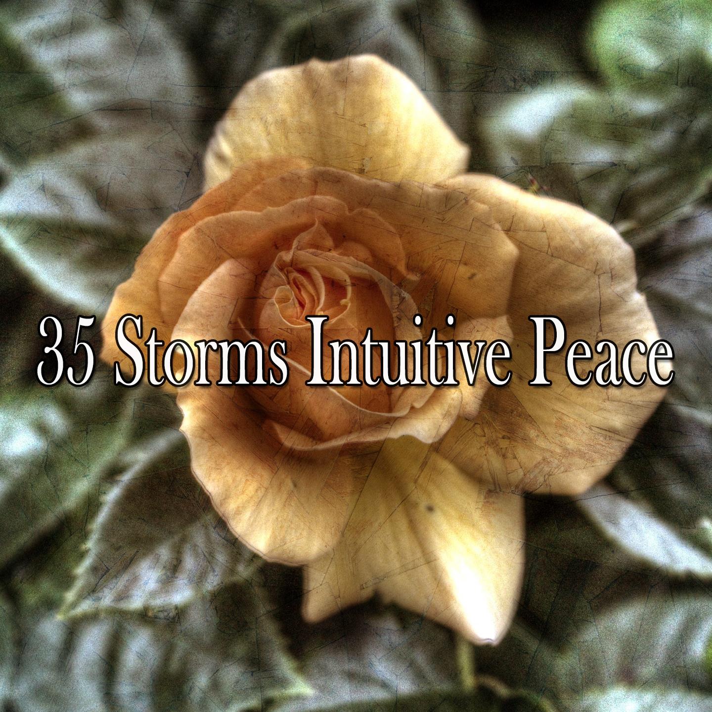 35 Storms Intuitive Peace