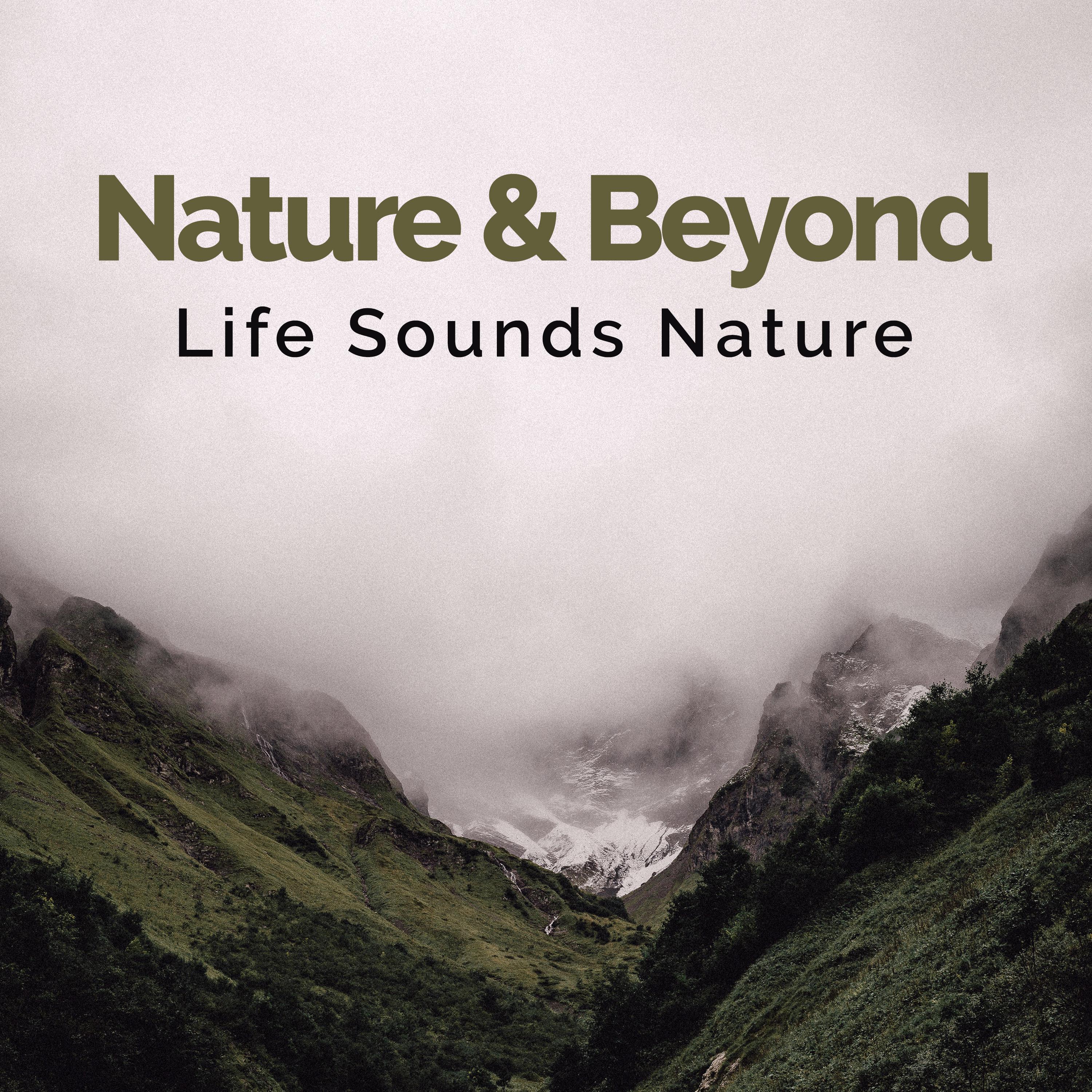Nature & Beyond