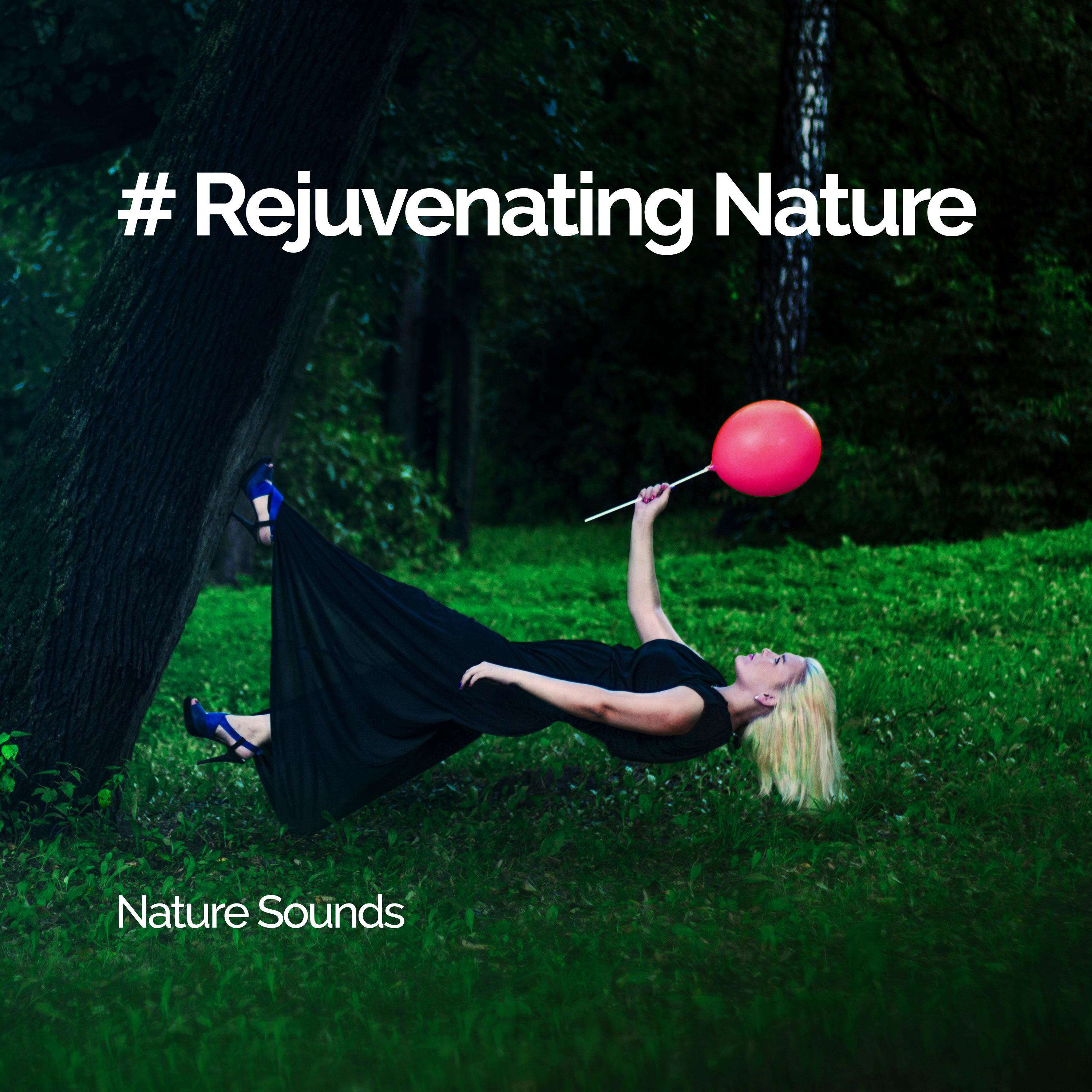 # Rejuvenating Nature
