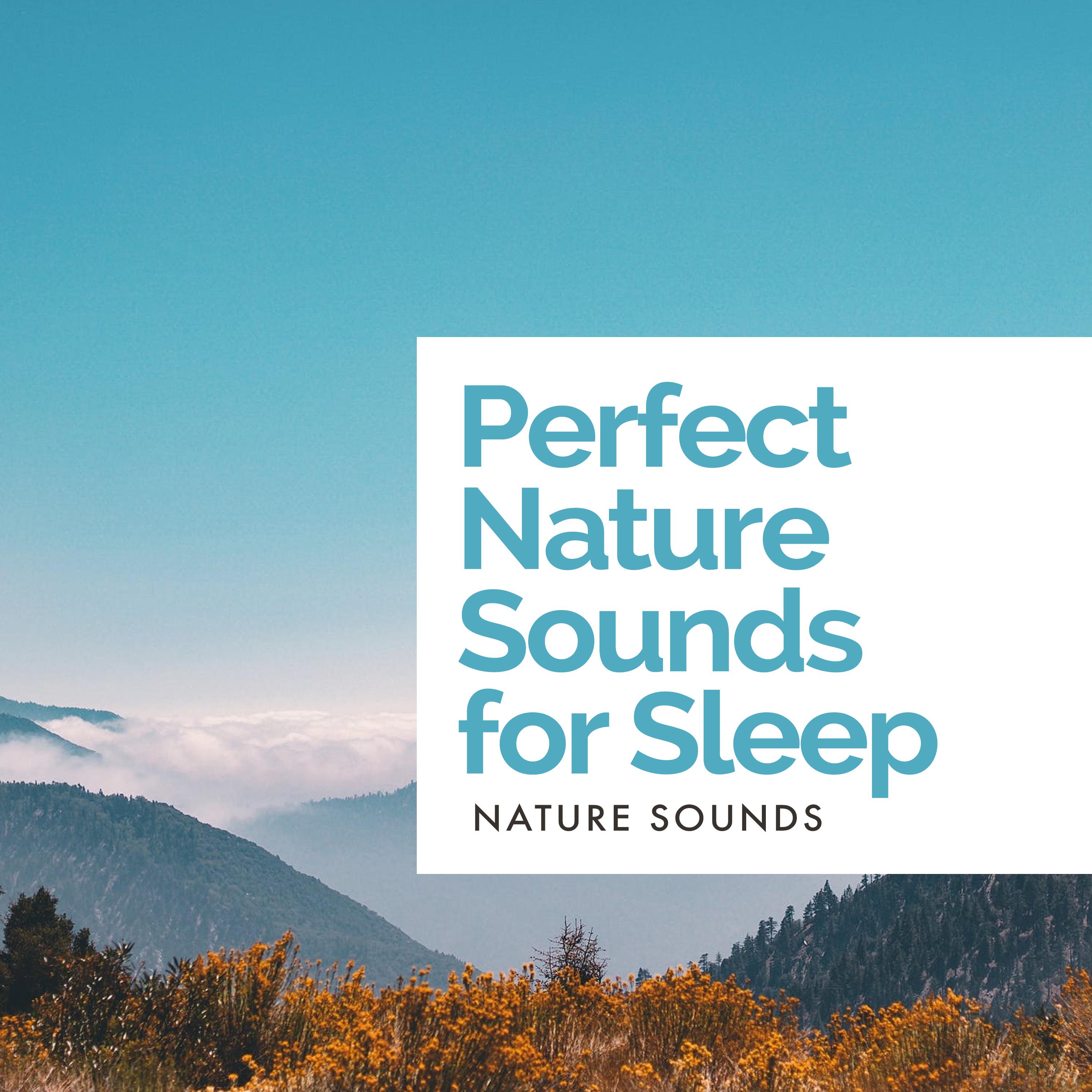 Perfect Nature Sounds for Sleep
