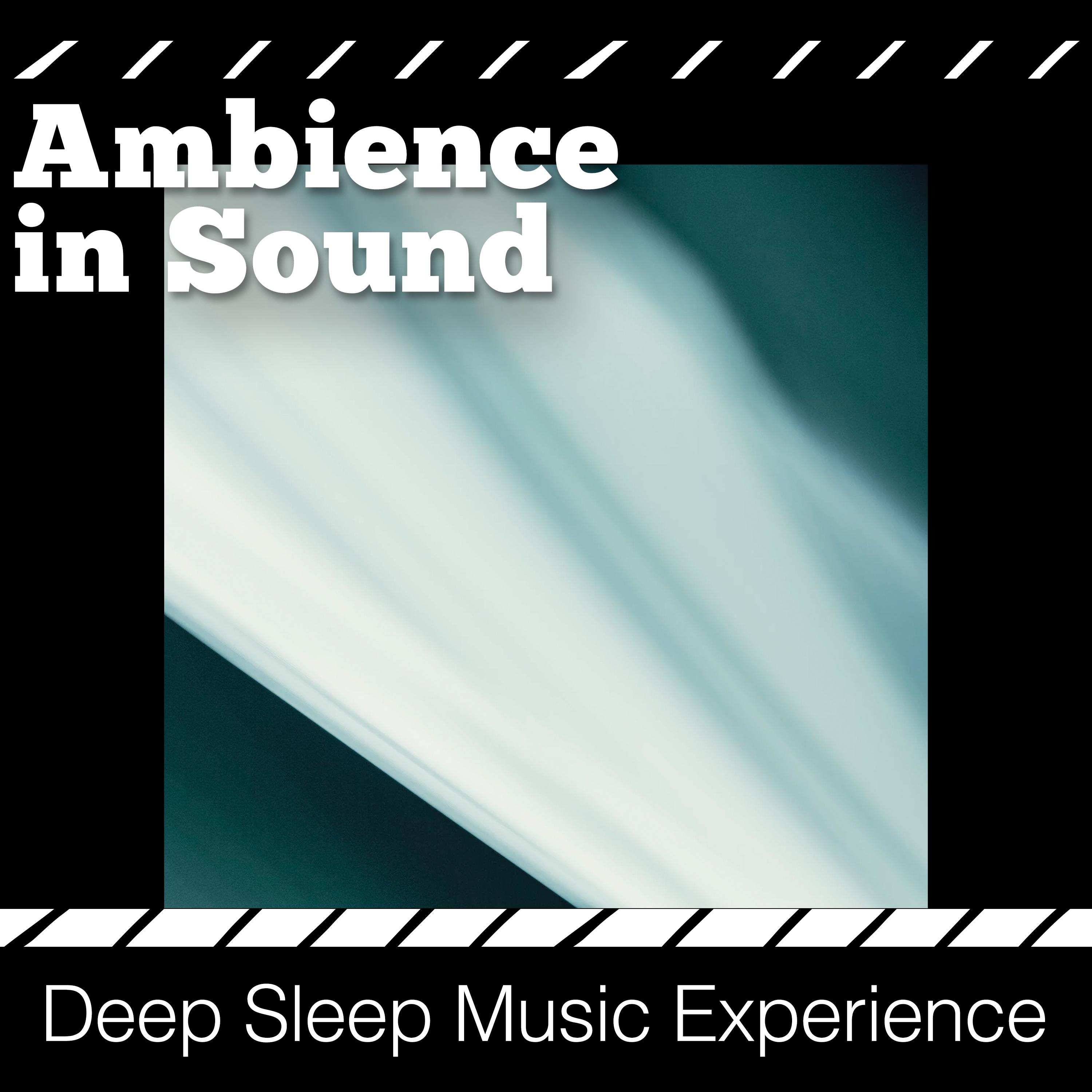 Ambience in Sound