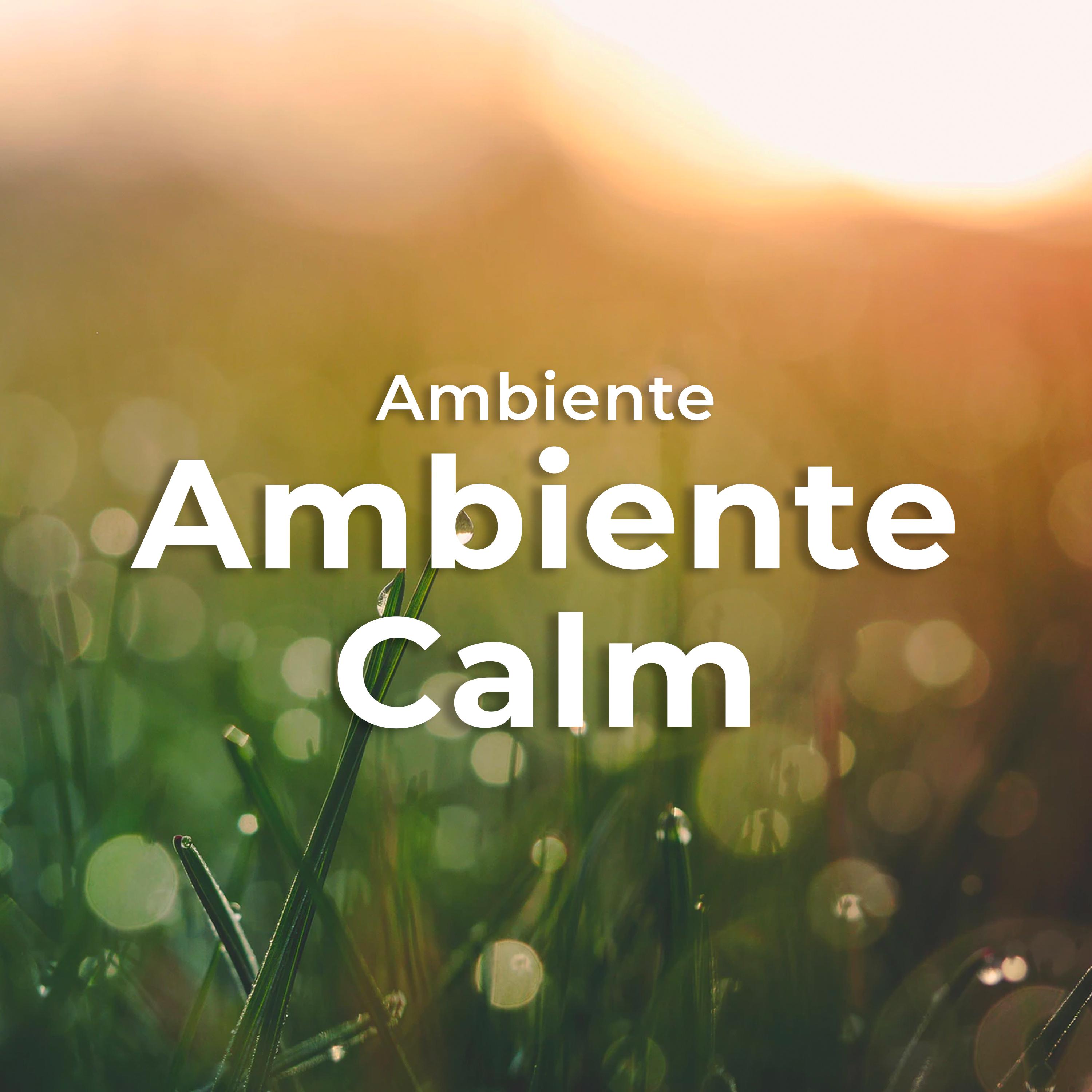 Ambiente Calm