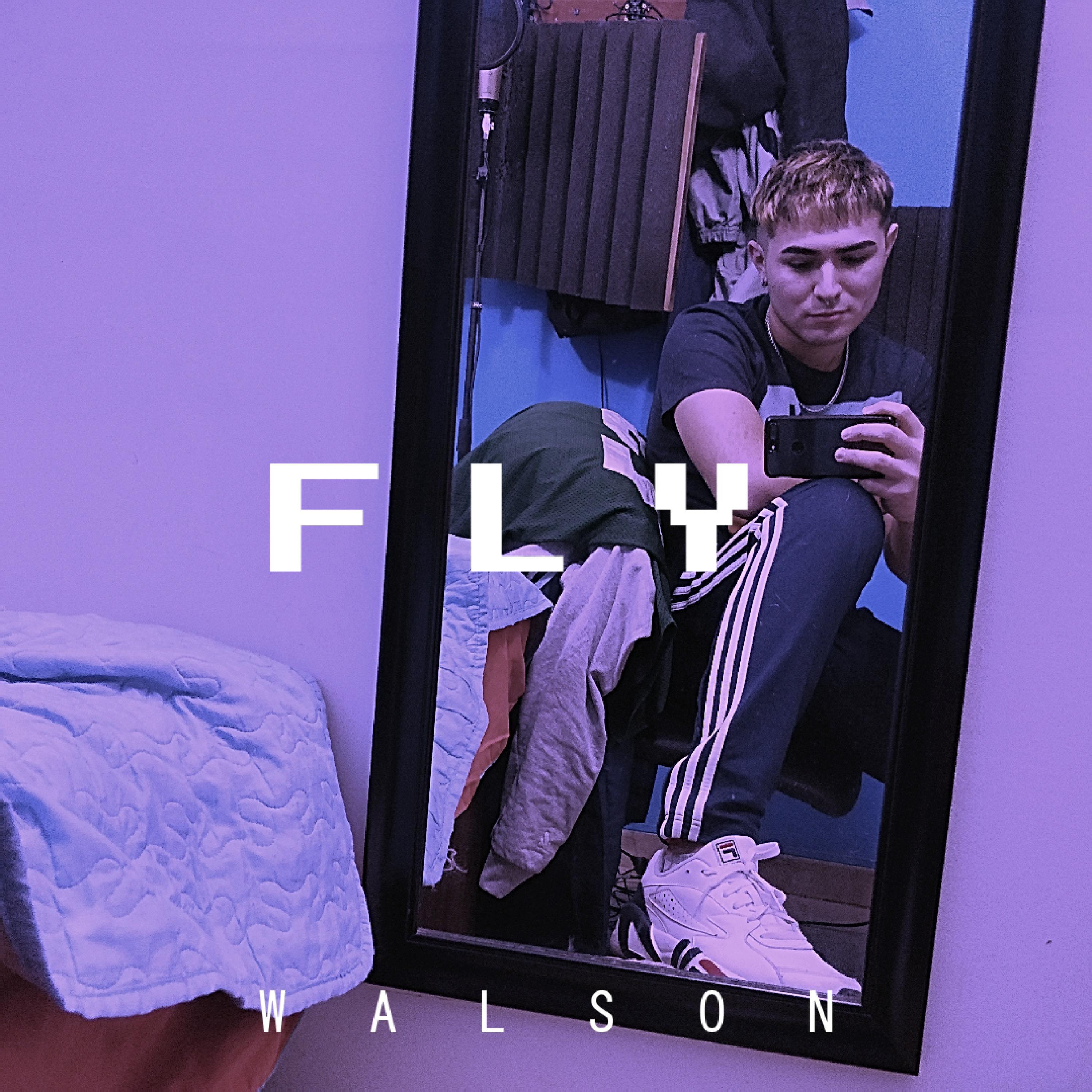 Fly