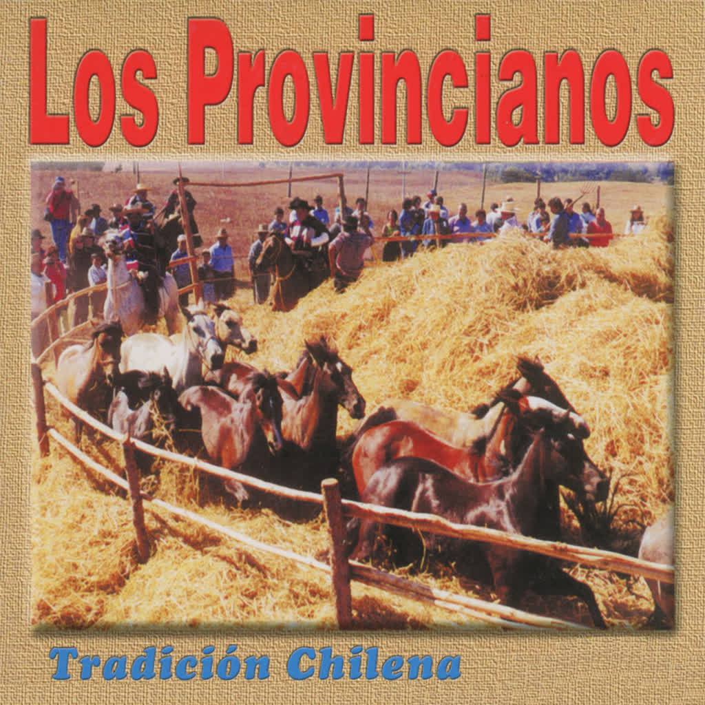 El Cochayullero