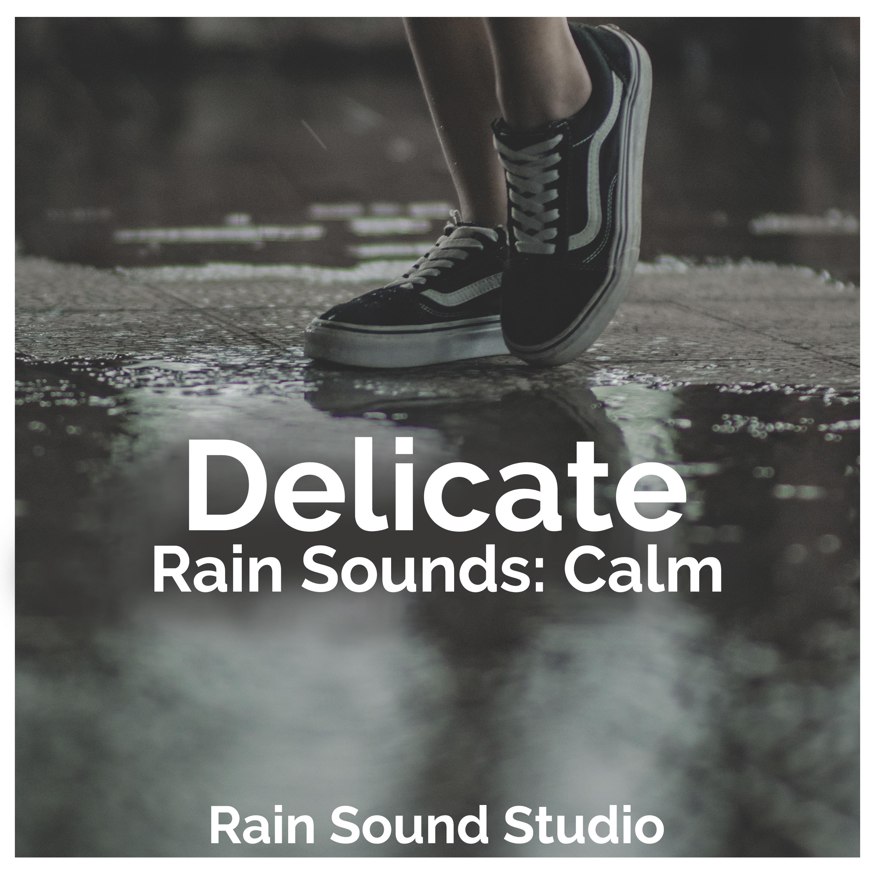 Delicate Rain Sounds: Calm