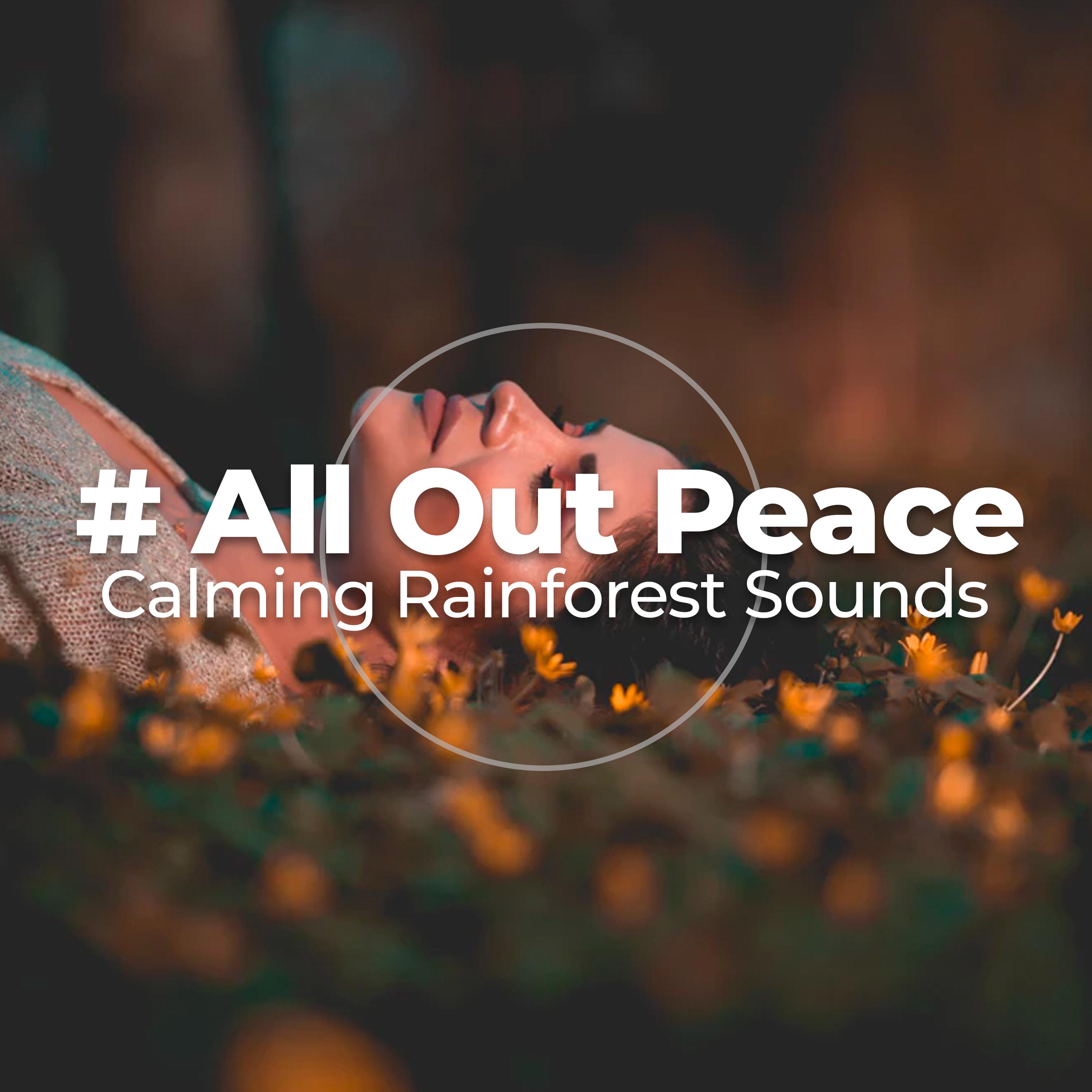 # All Out Peace