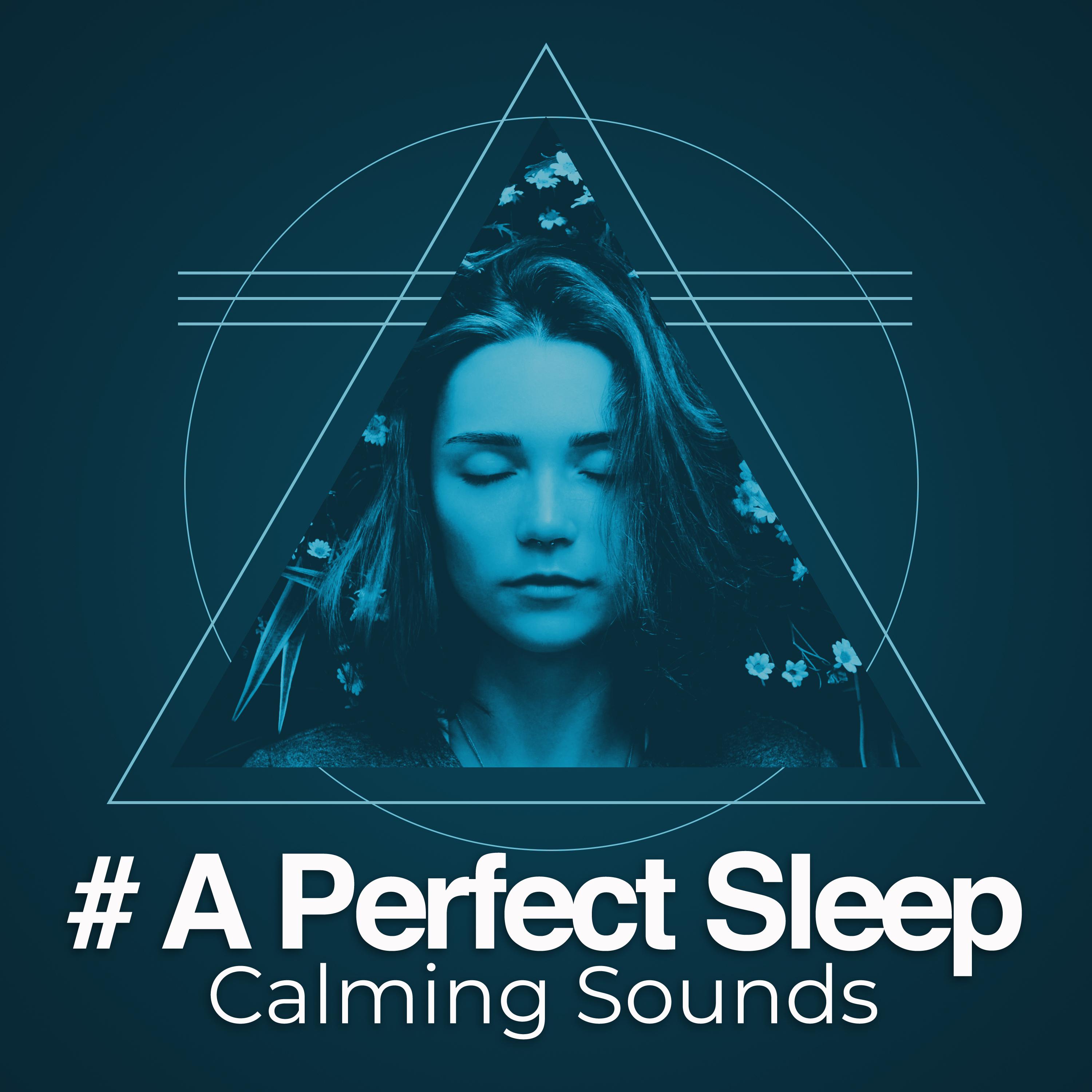 # A Perfect Sleep
