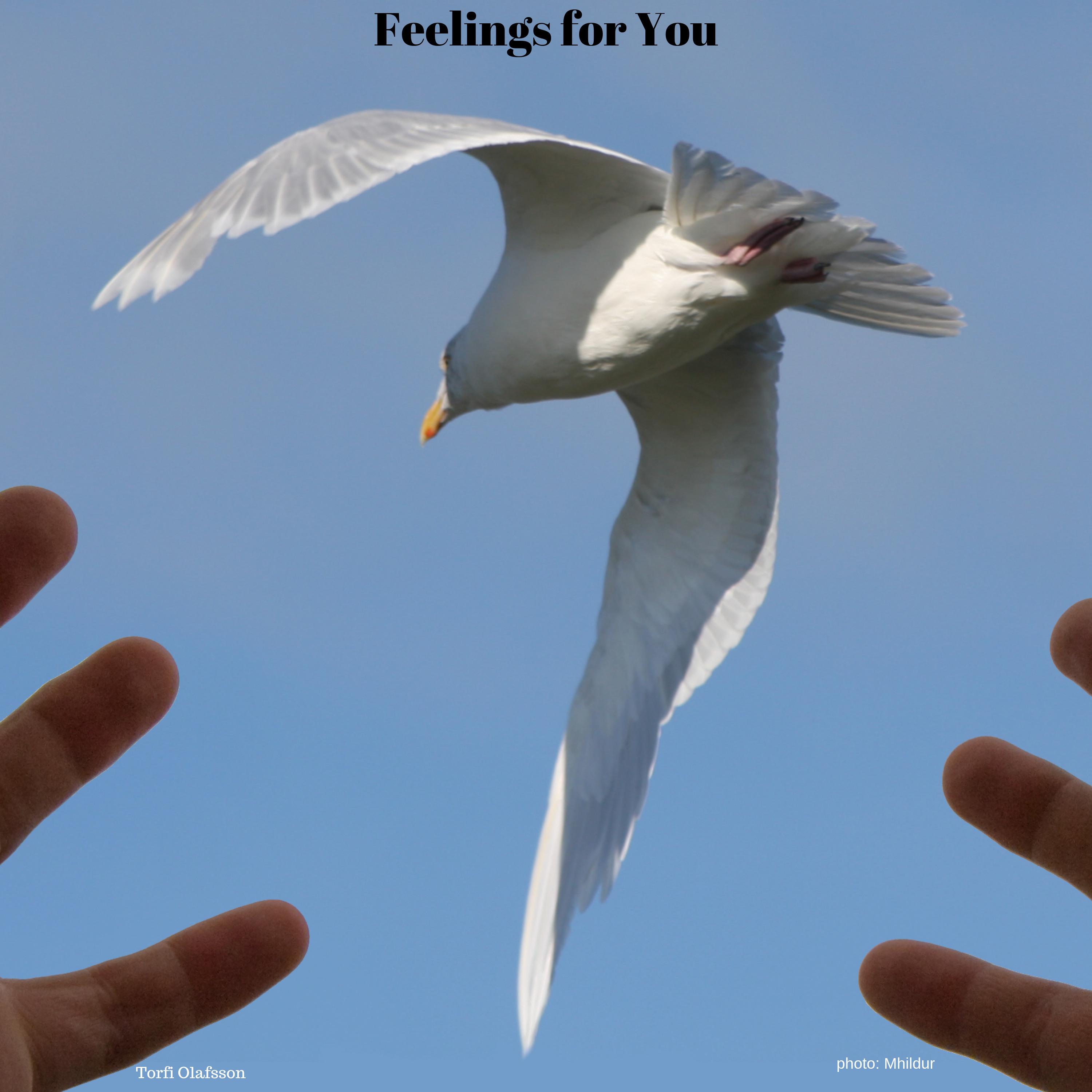 Feelings for You