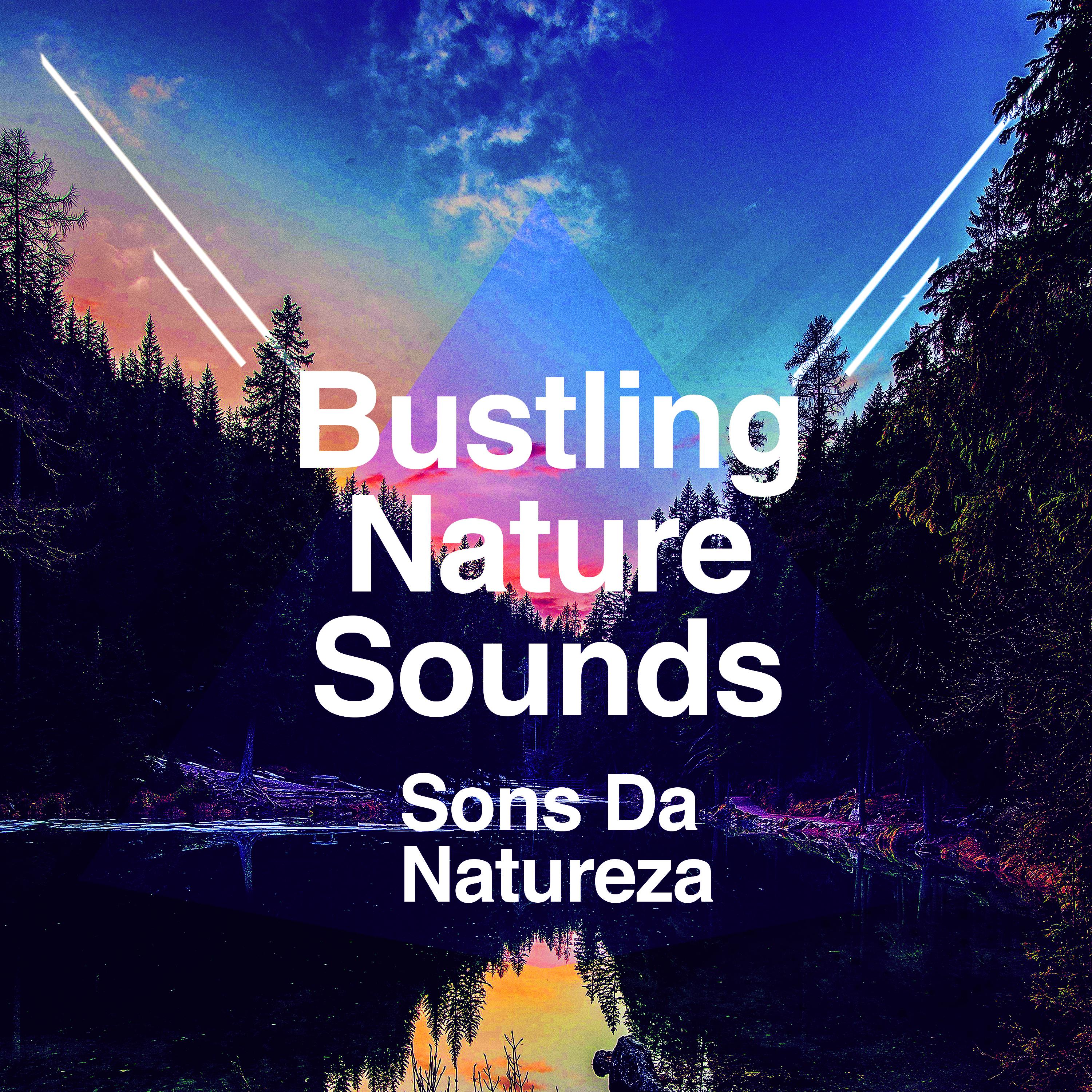 Bustling Nature Sounds