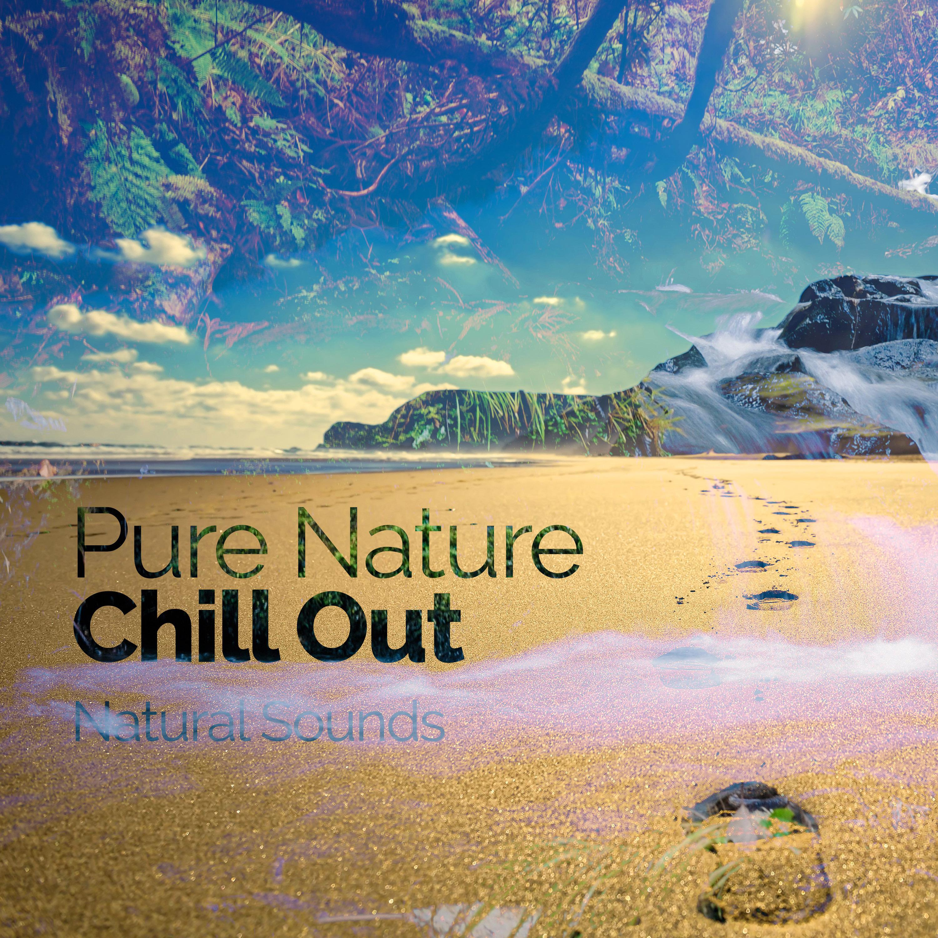 Pure Nature Chill Out