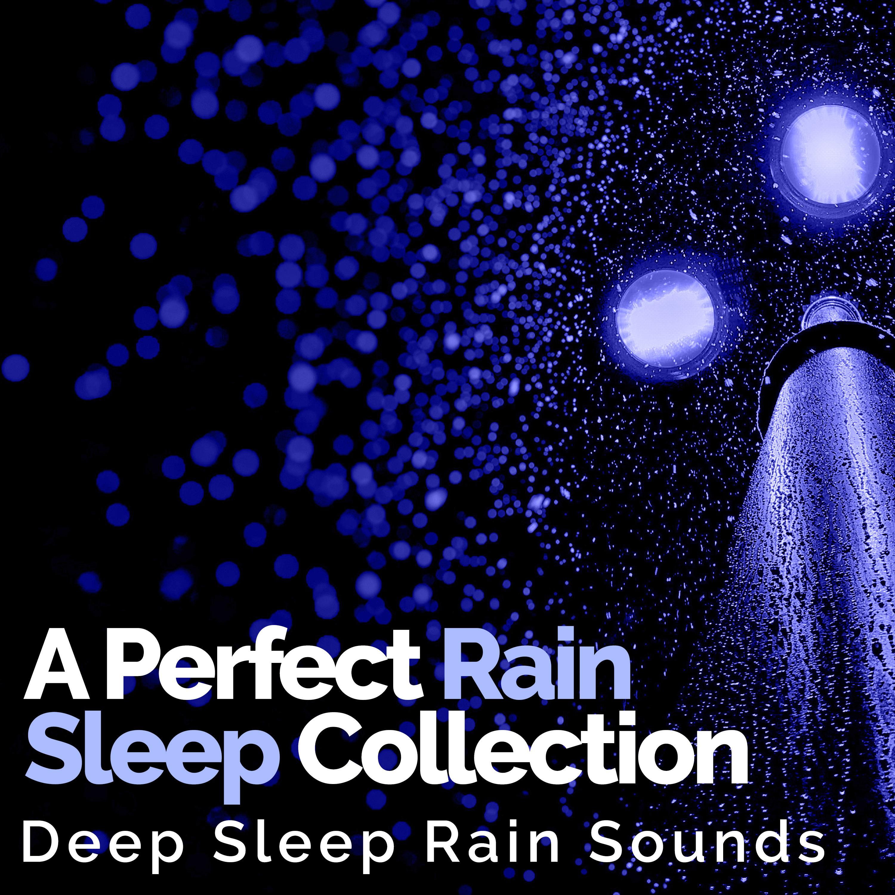 A Perfect Rain Sleep Collection