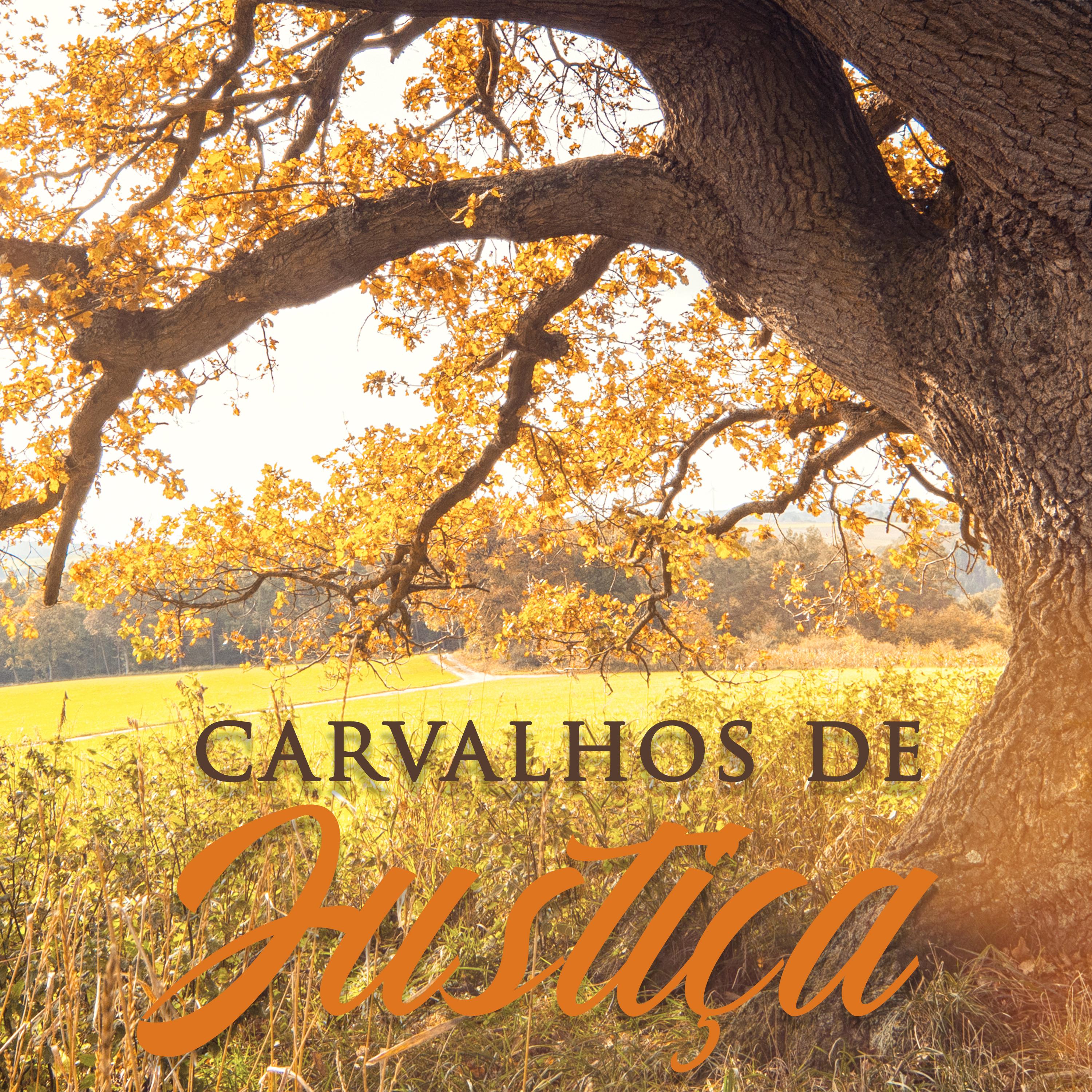 Carvalhos De Justi a