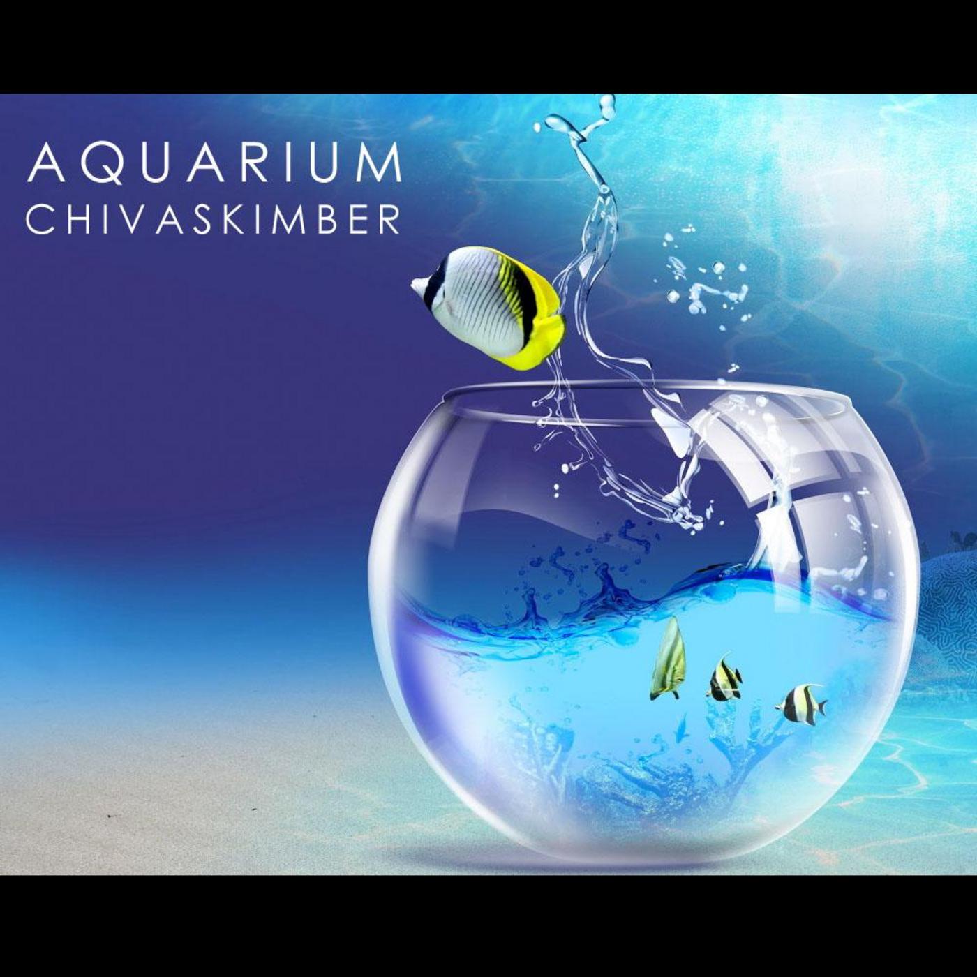 Aquarium - Single