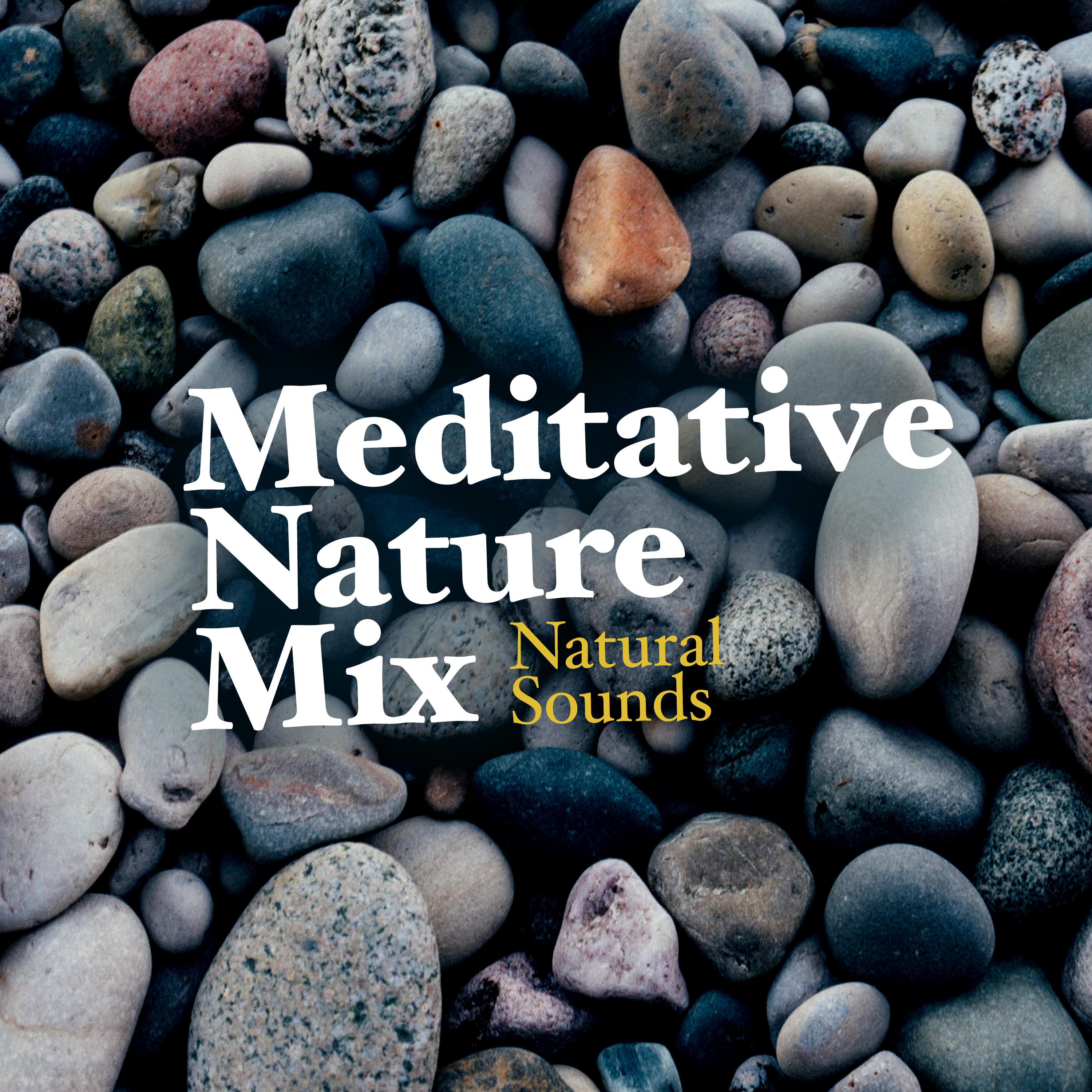 Meditative Nature Mix