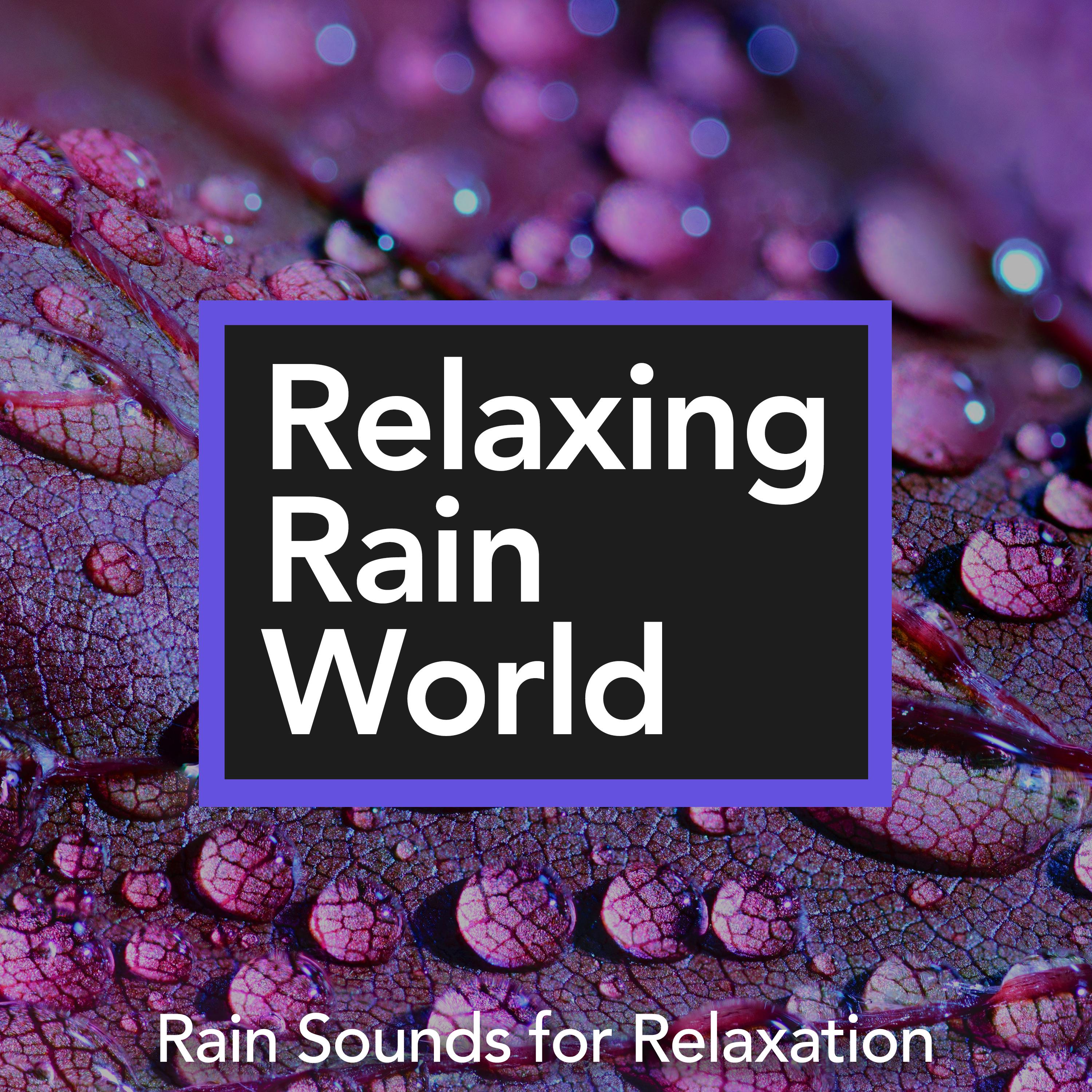 Relaxing Rain World