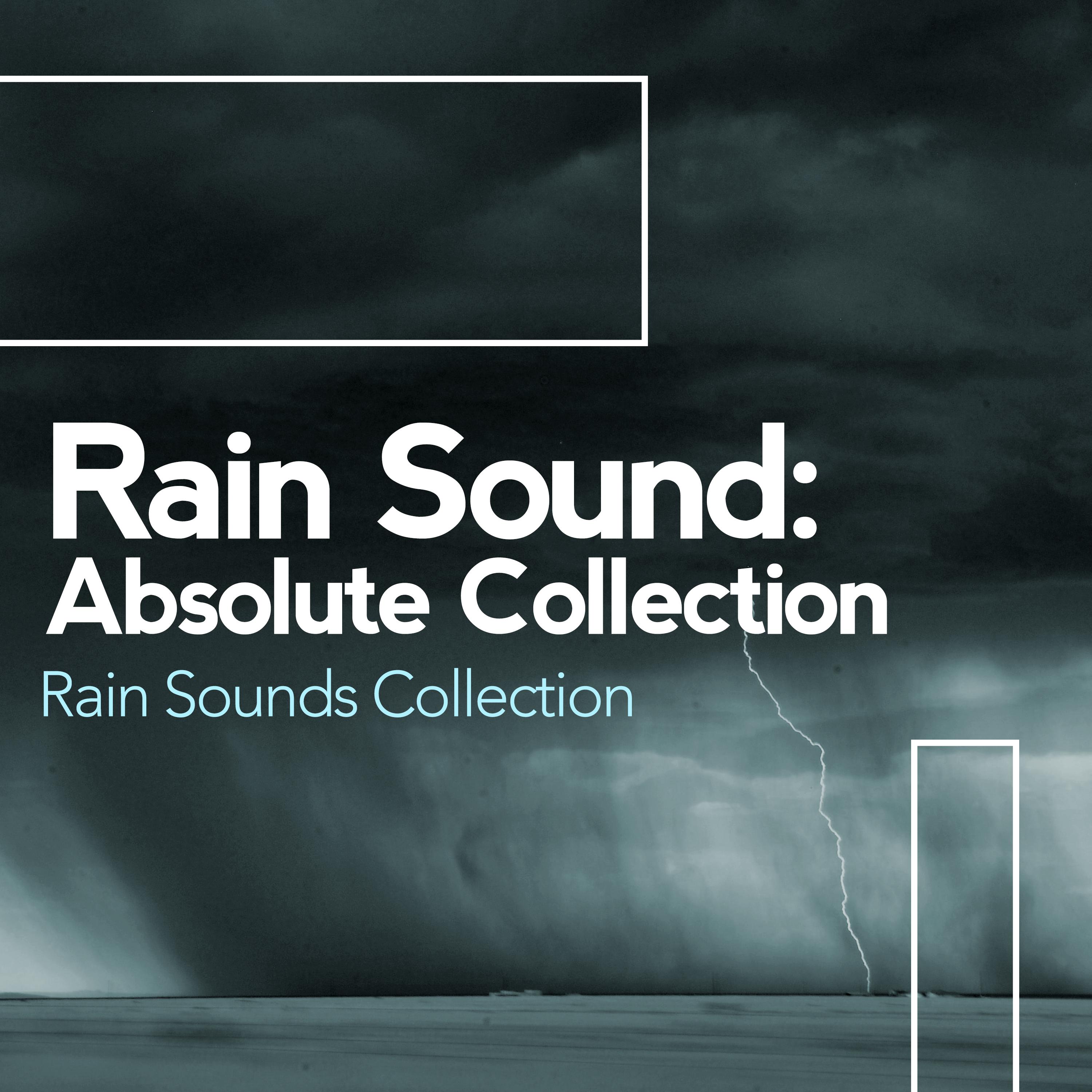 Rain Sound: Absolute Collection