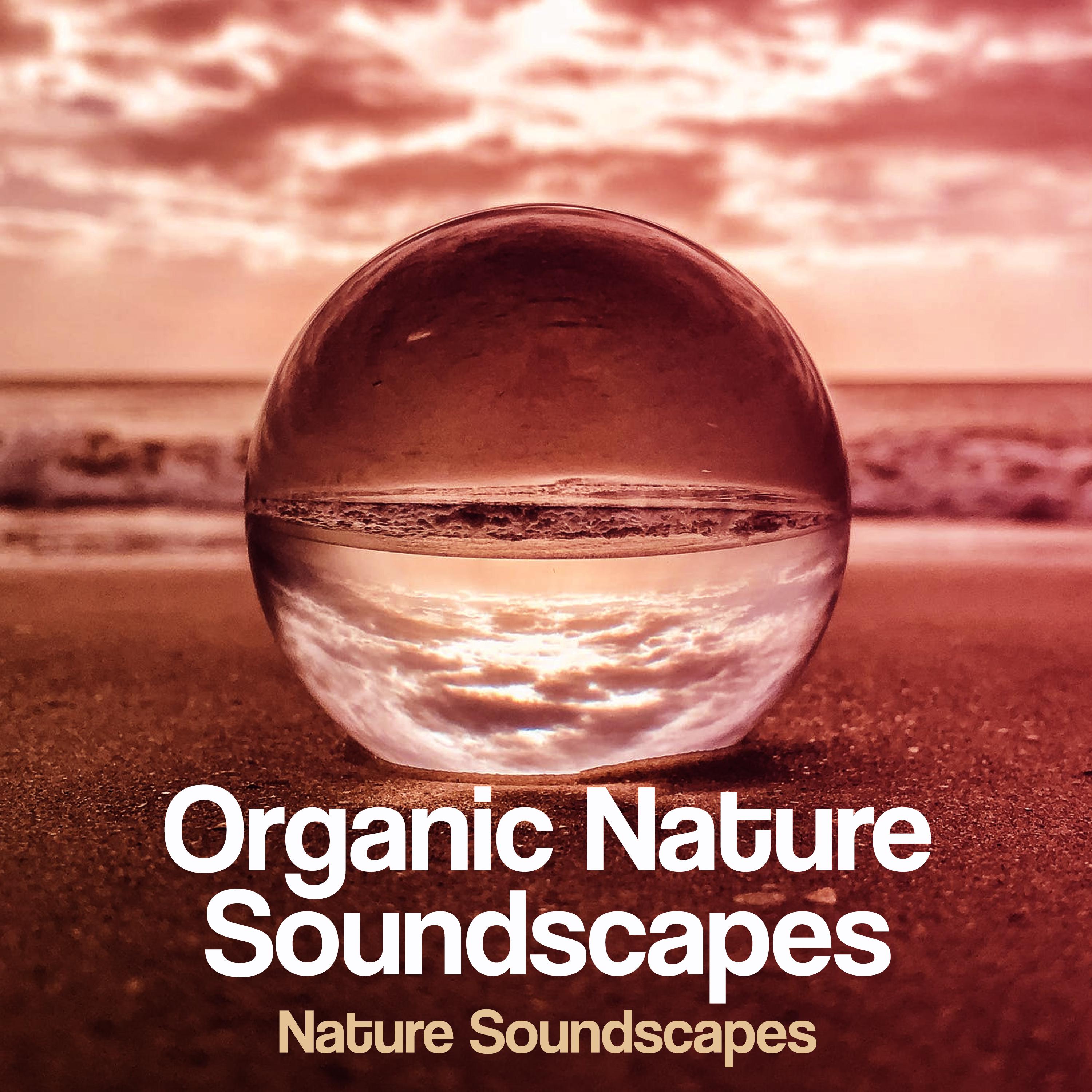Organic Nature Soundscapes