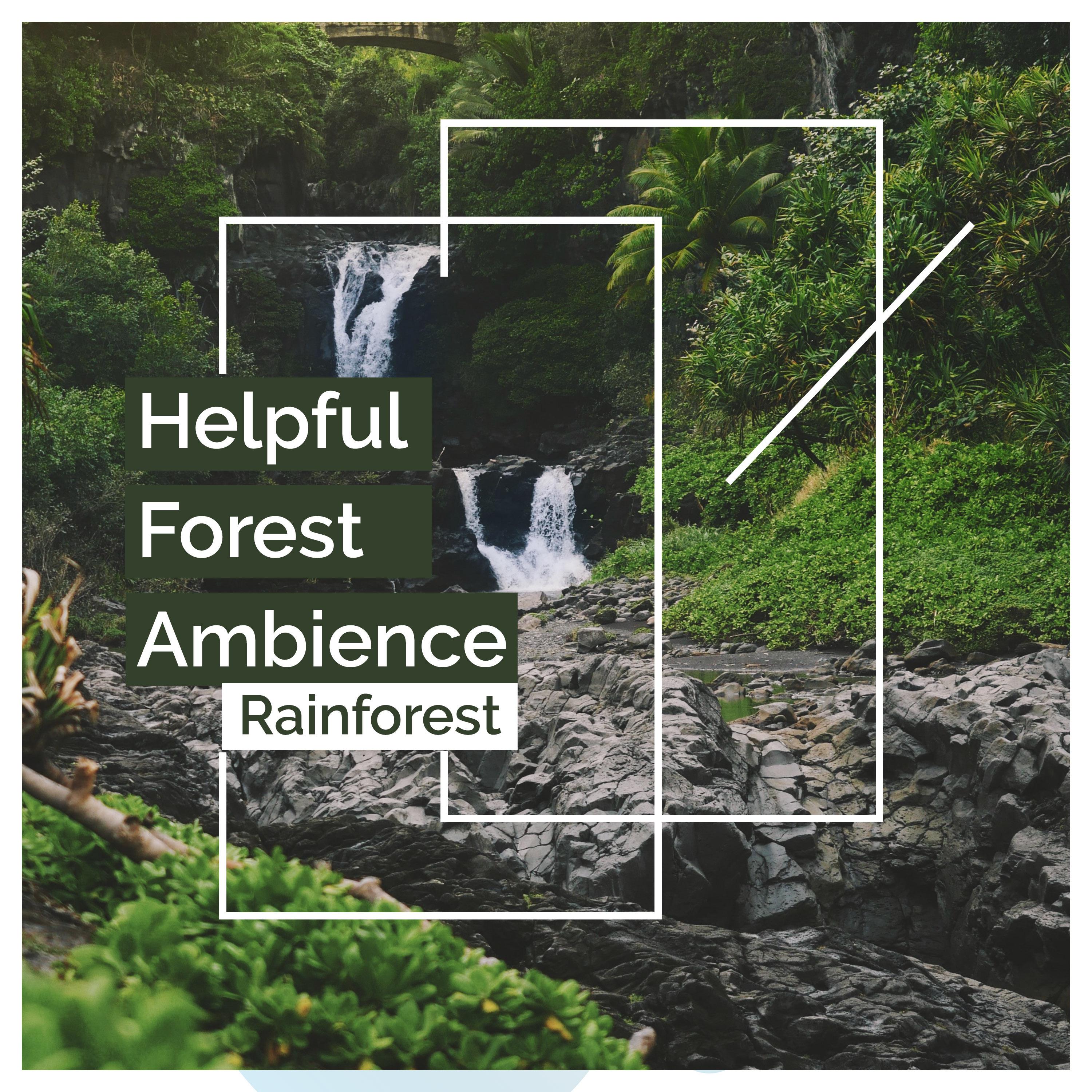 Helpful Forest Ambience
