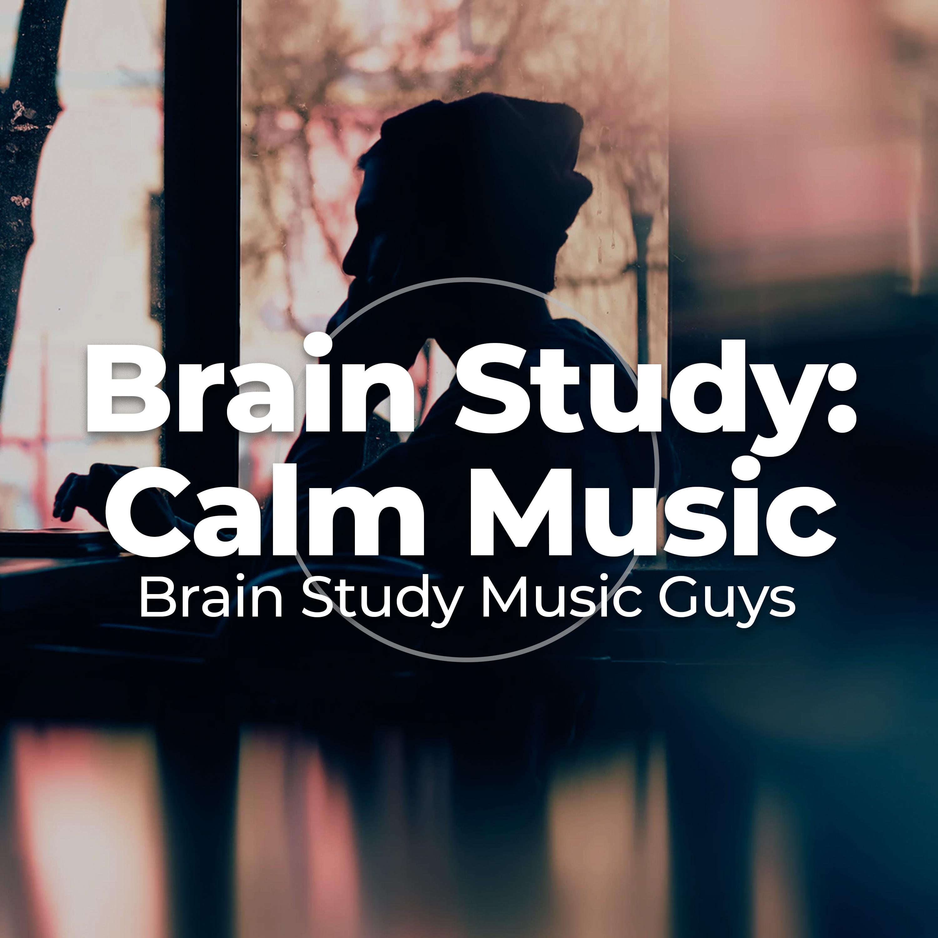 Brain Study: Calm Music