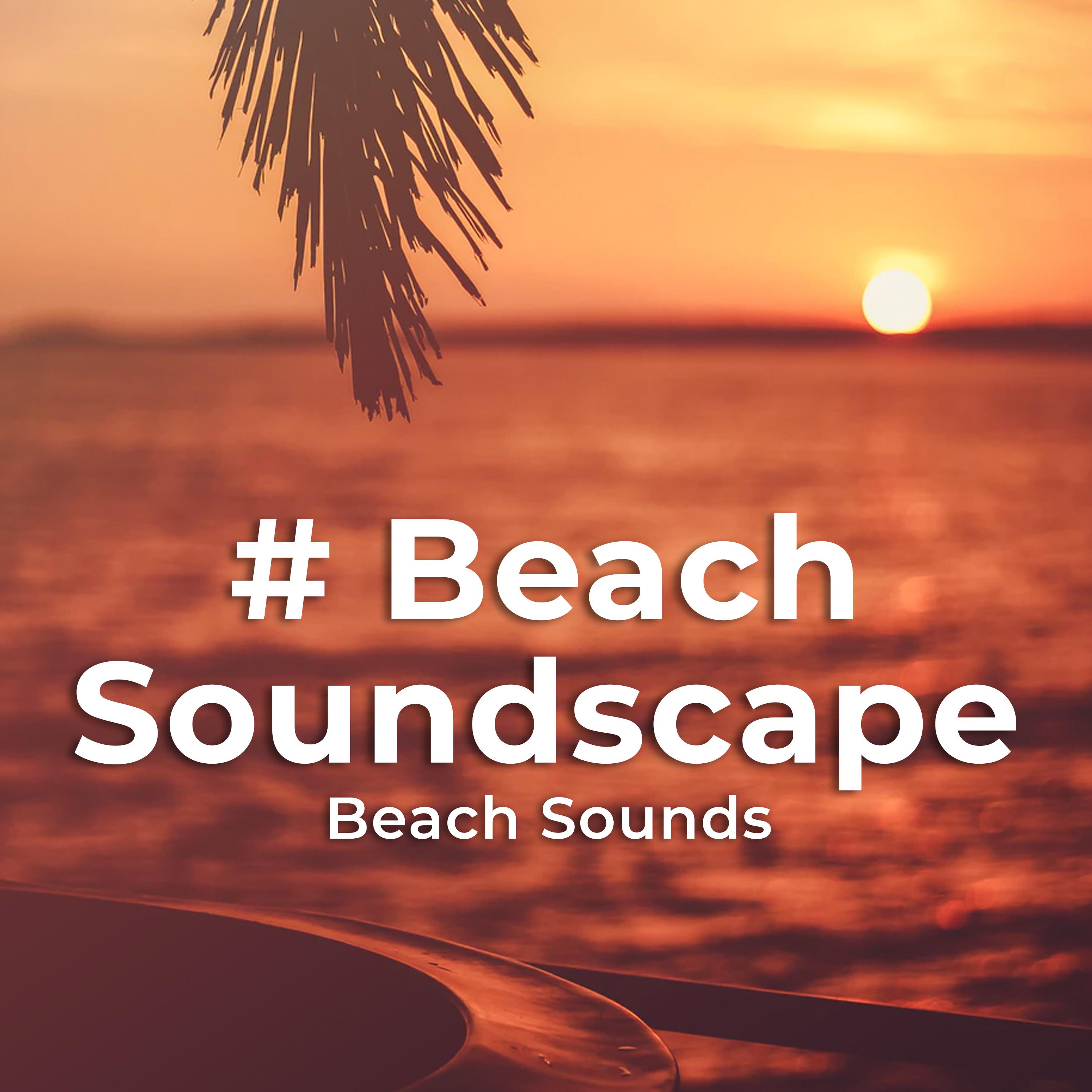 # Beach Soundscape