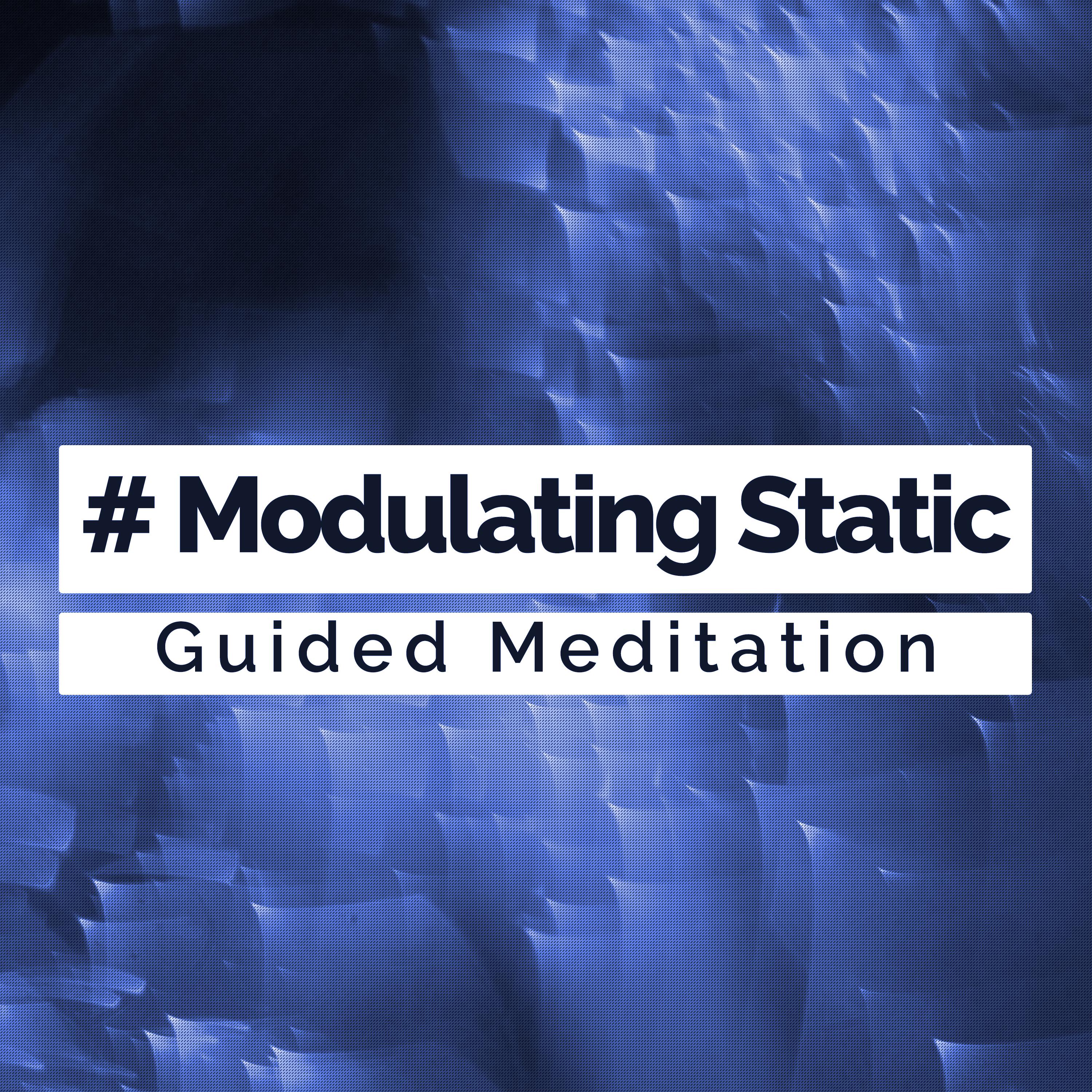 # Modulating Static