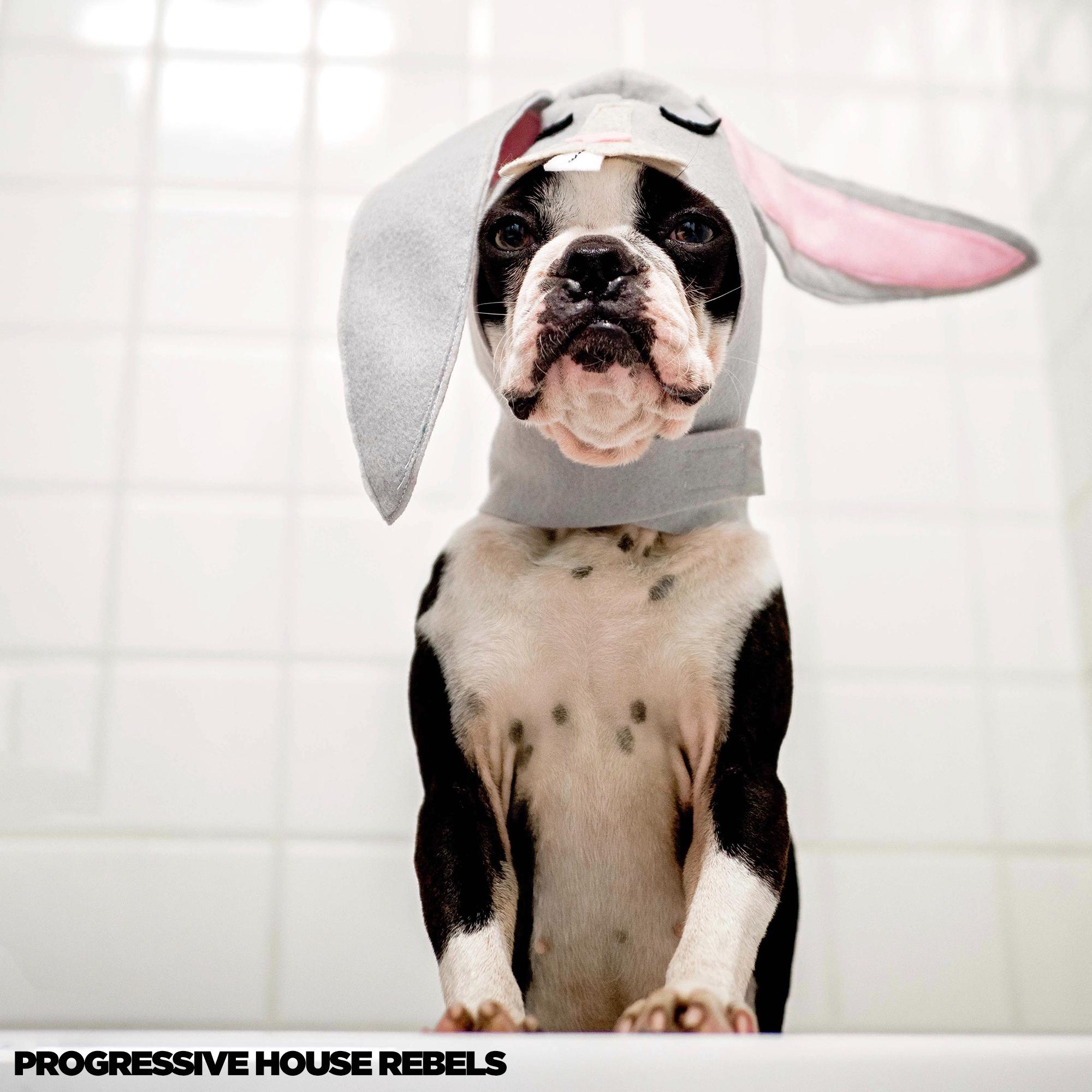 Progressive House Rebels