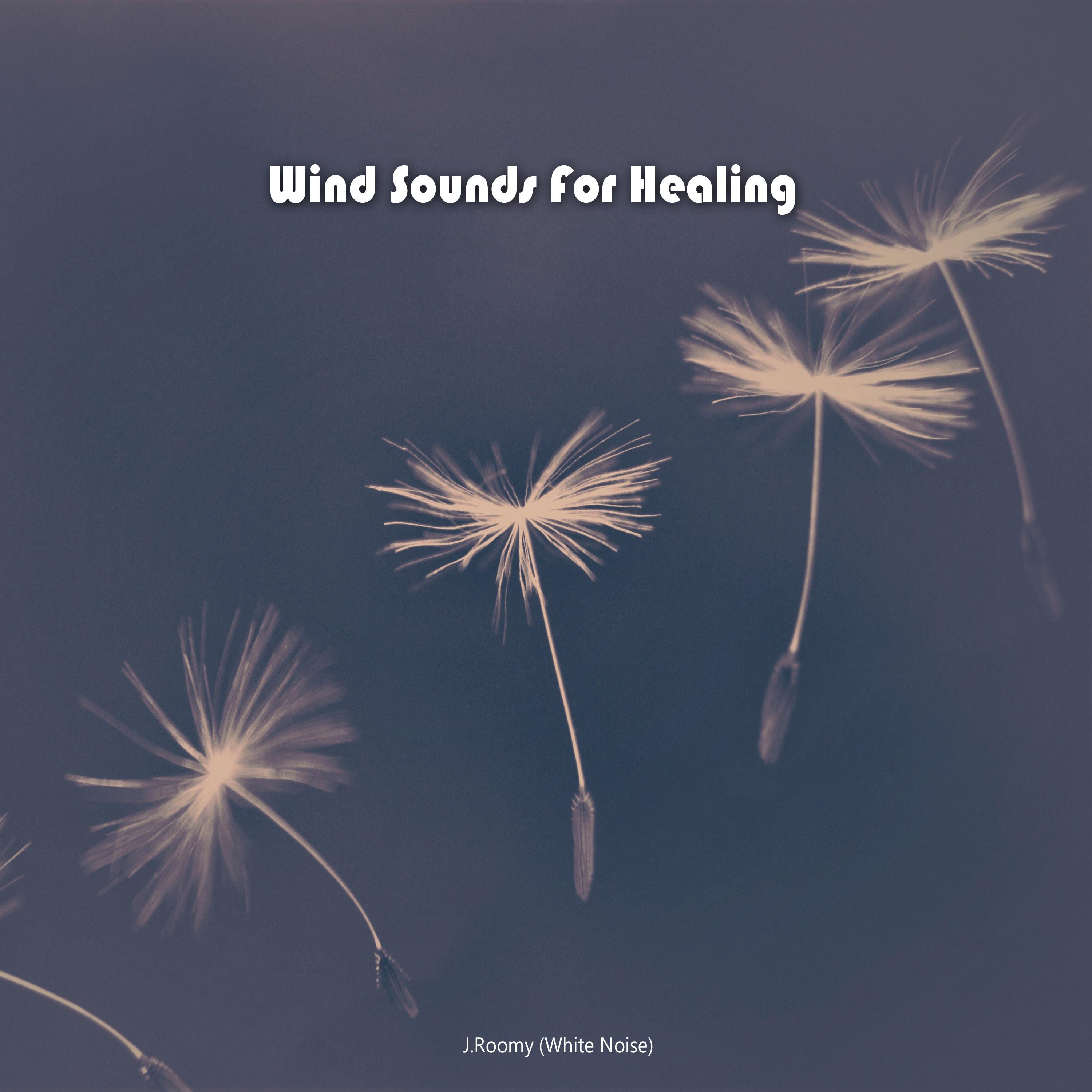 Wind Sounds For Healing