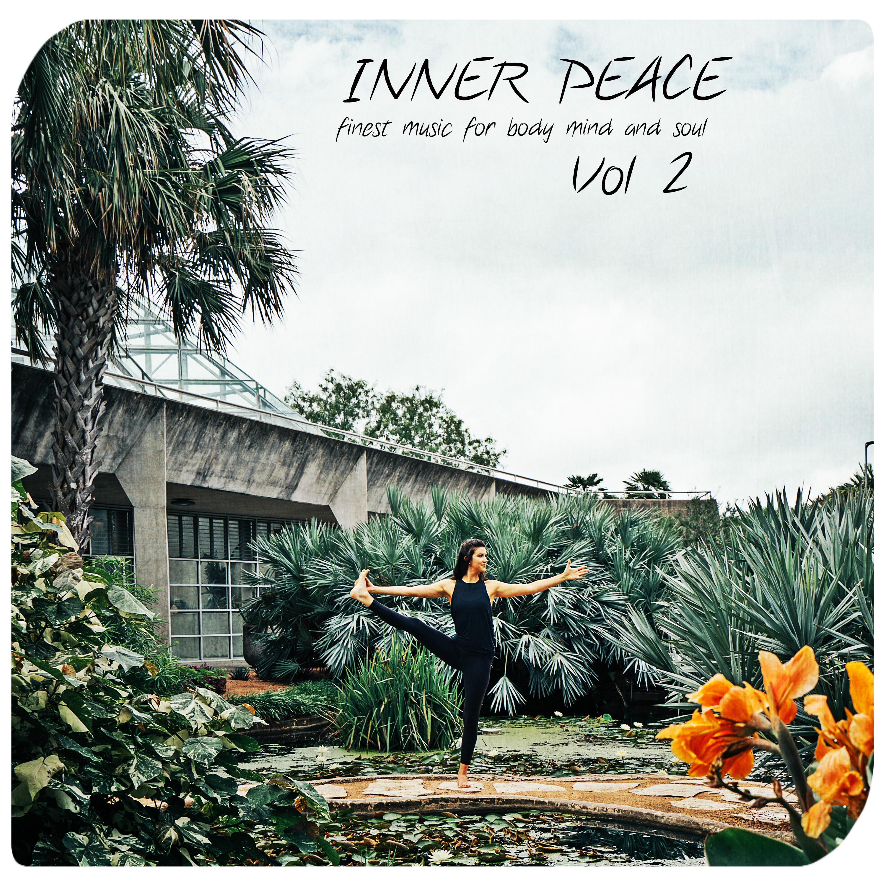 Inner Peace, Vol. 2