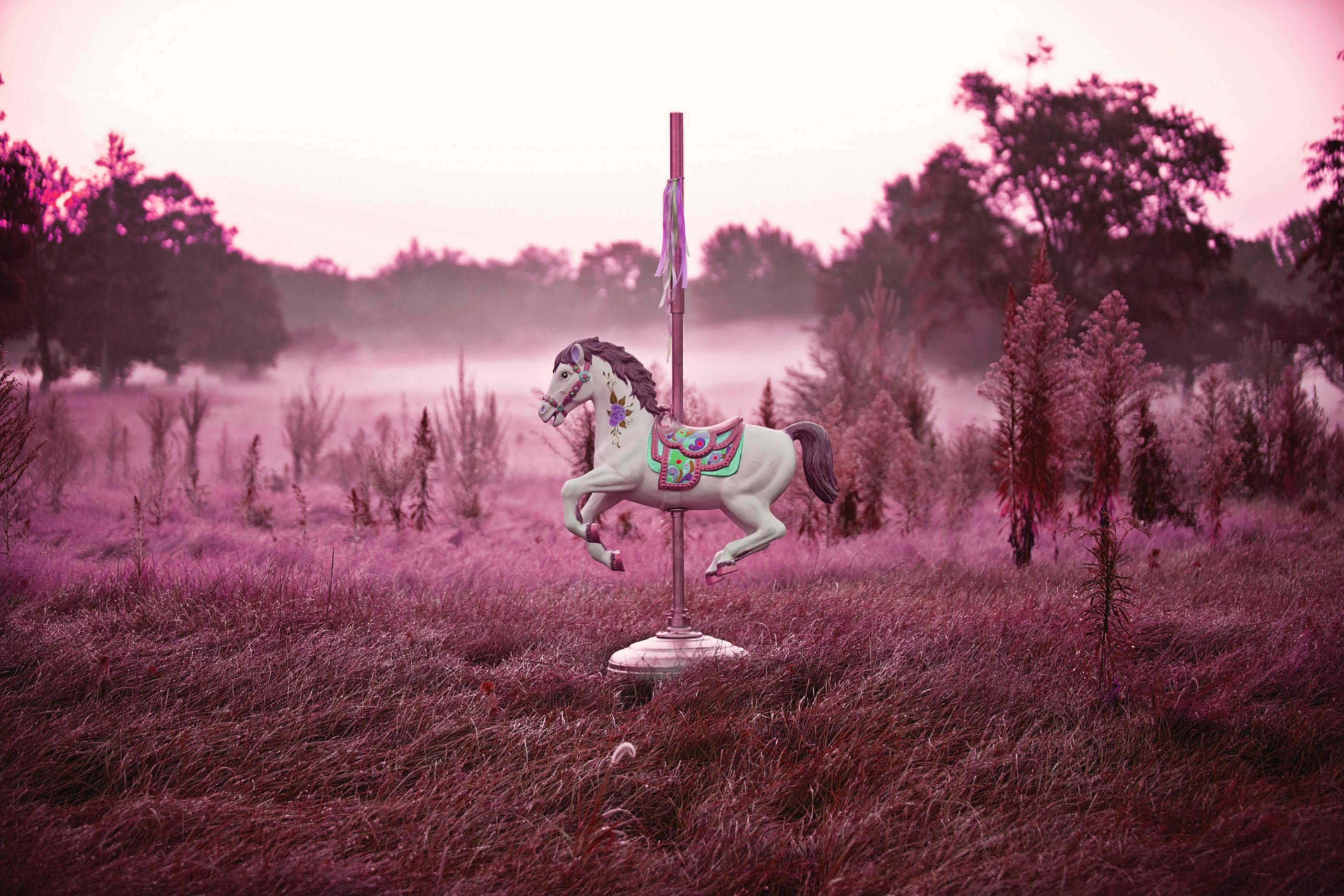 Saddle