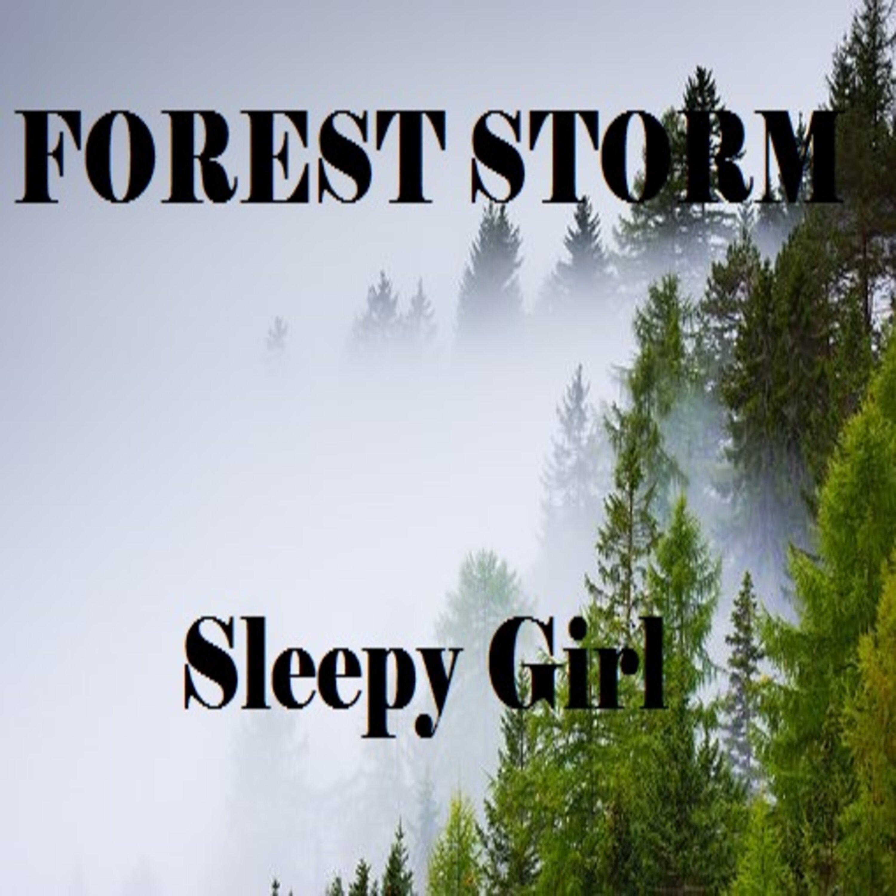 Forest Storm
