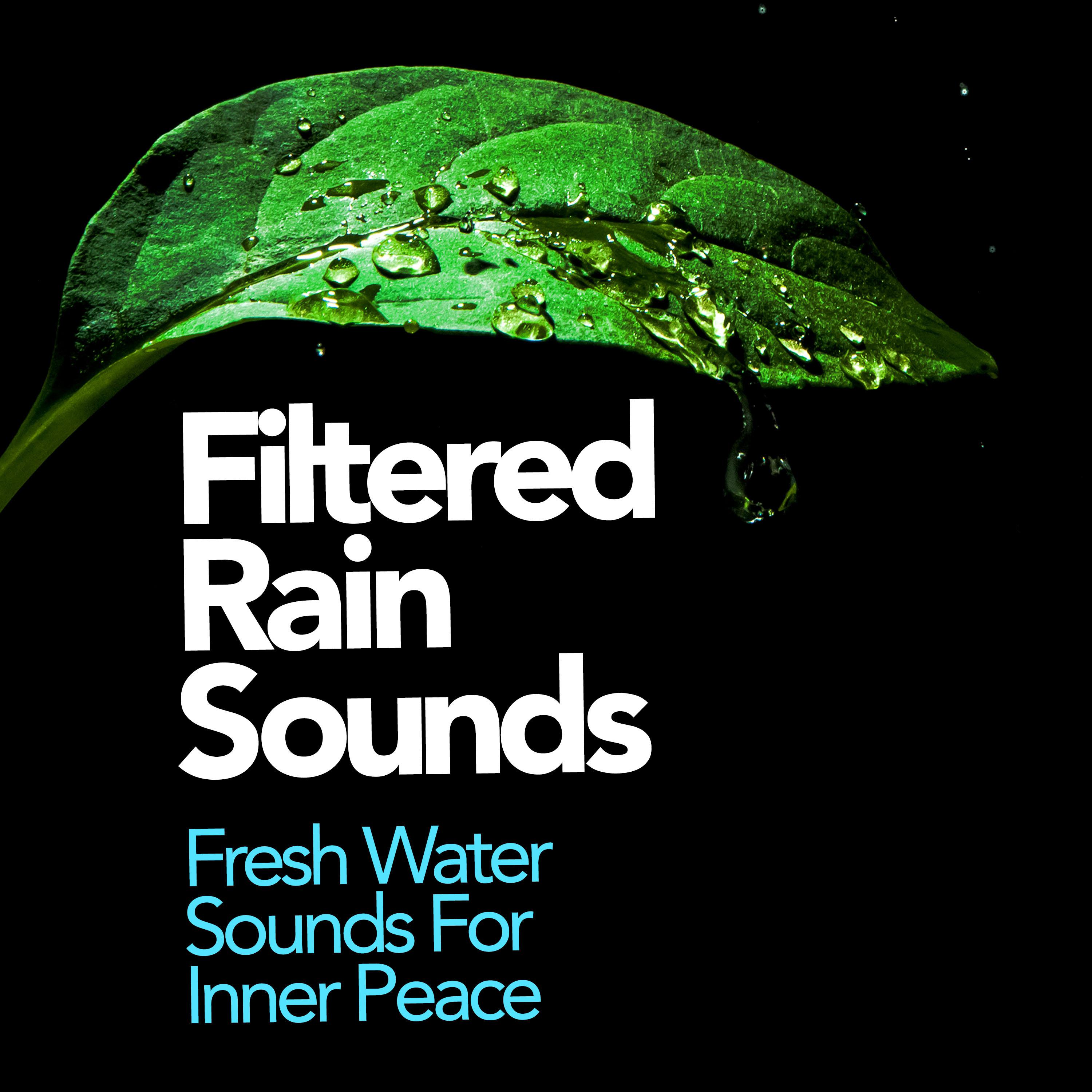 Filtered Rain Sounds
