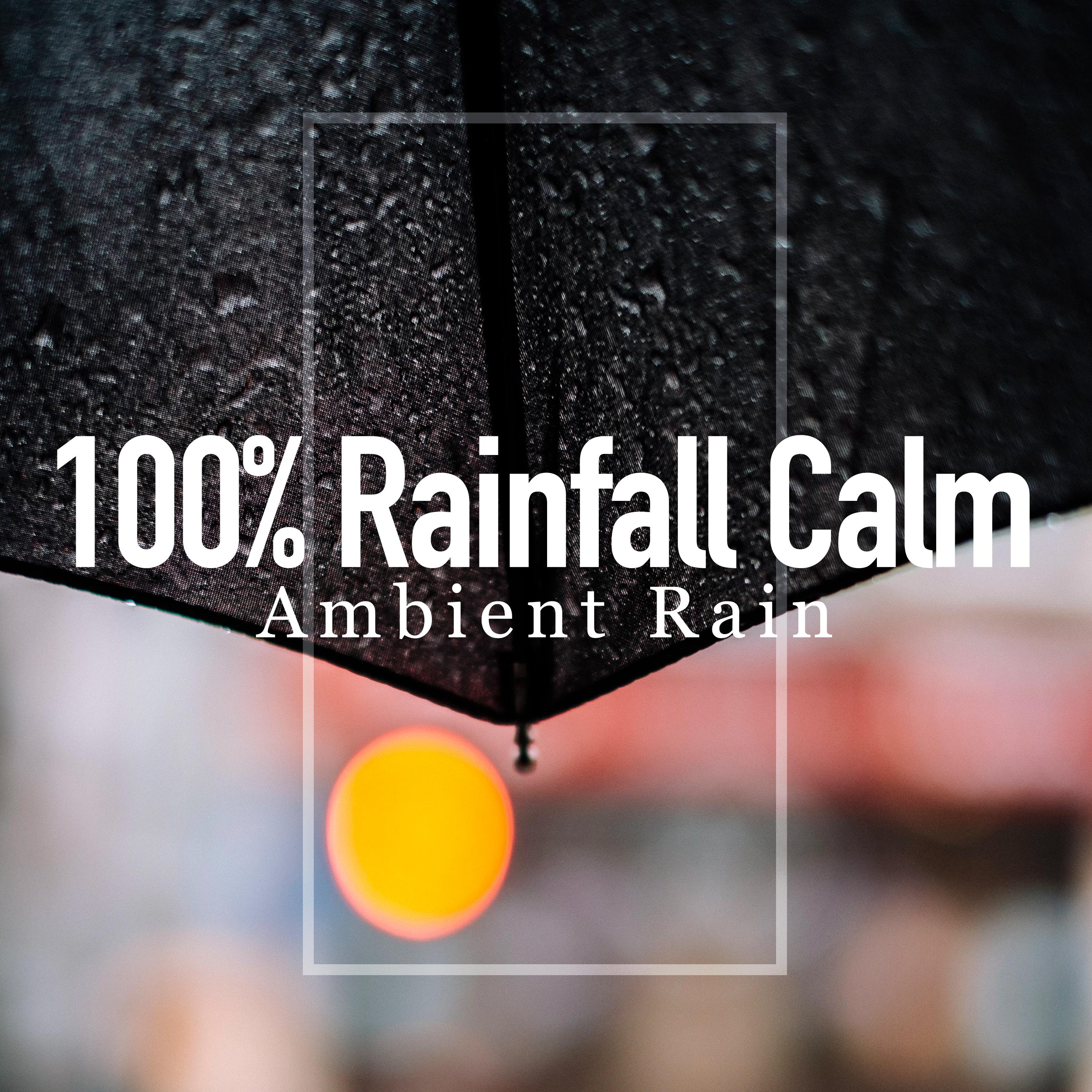 100% Rainfall Calm