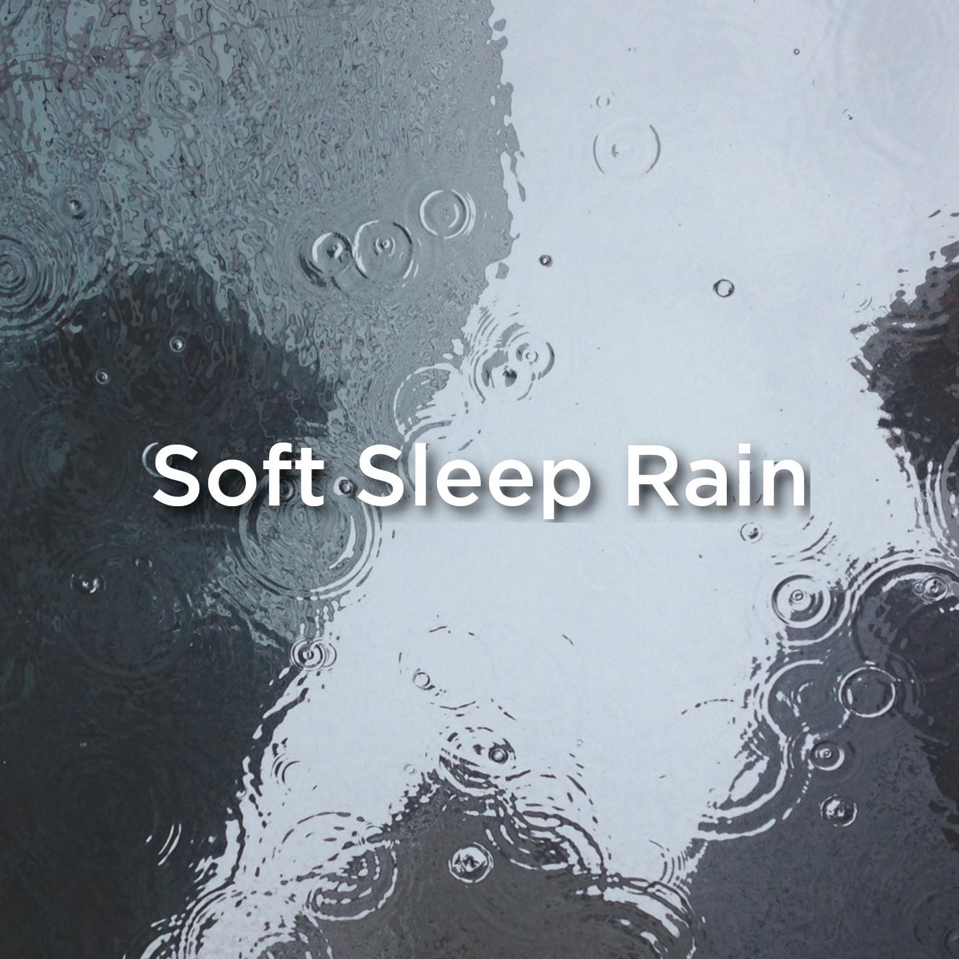 Deep Sleep Rainforest