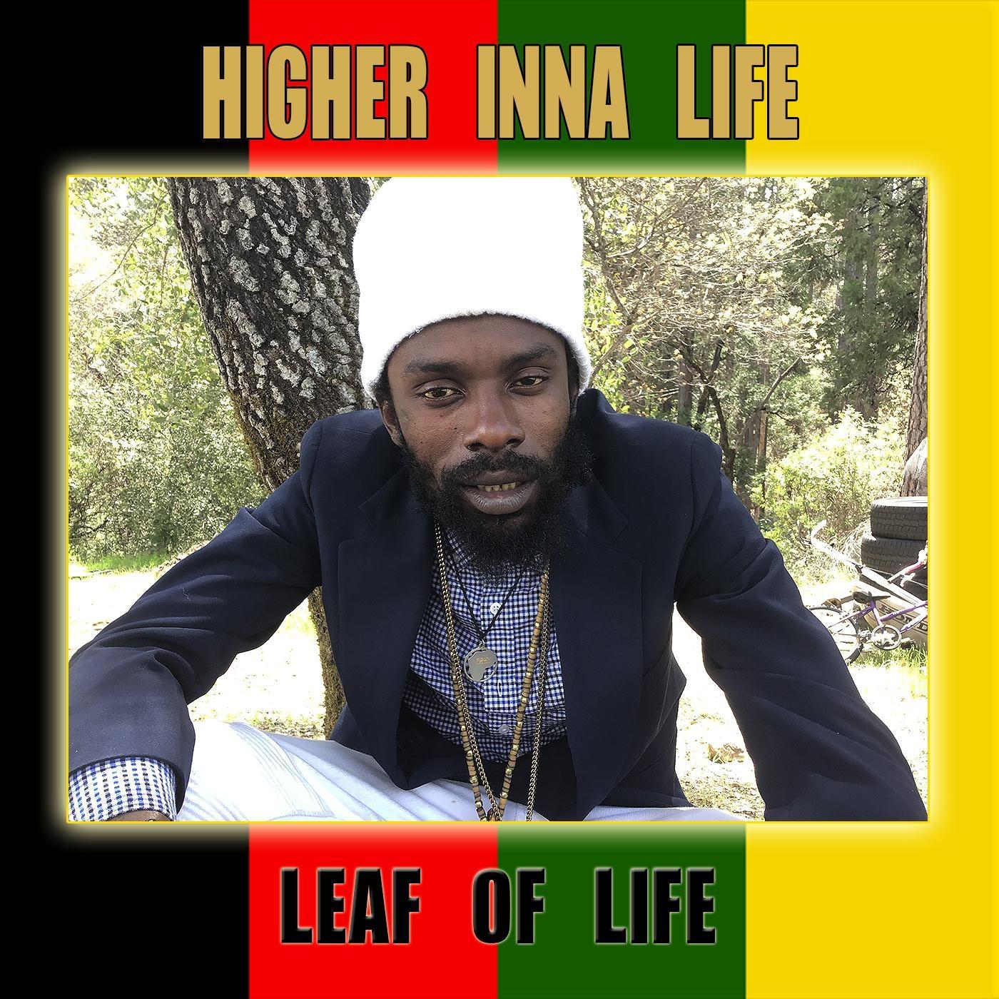 Higher Inna Life