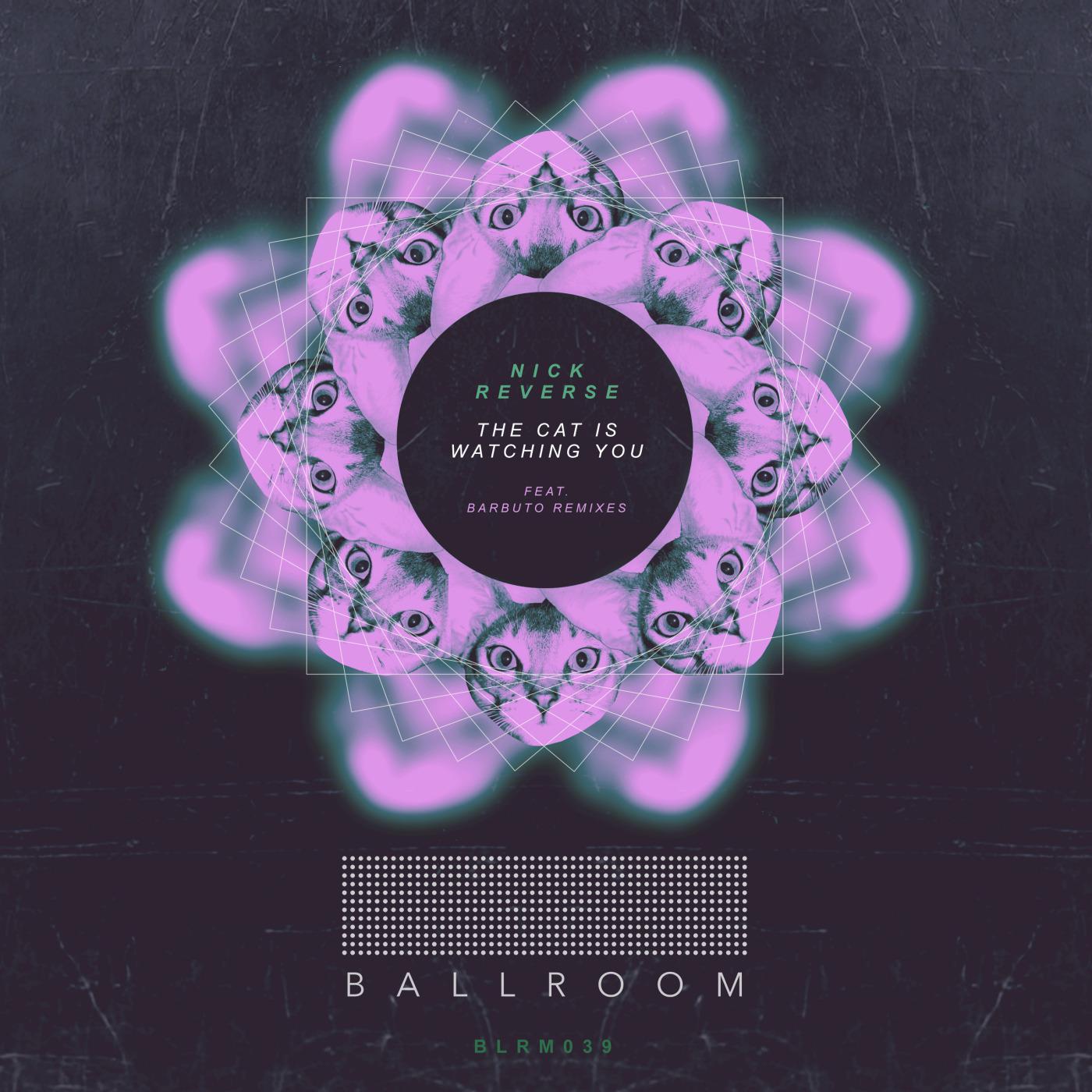 The Cat Is Watching You