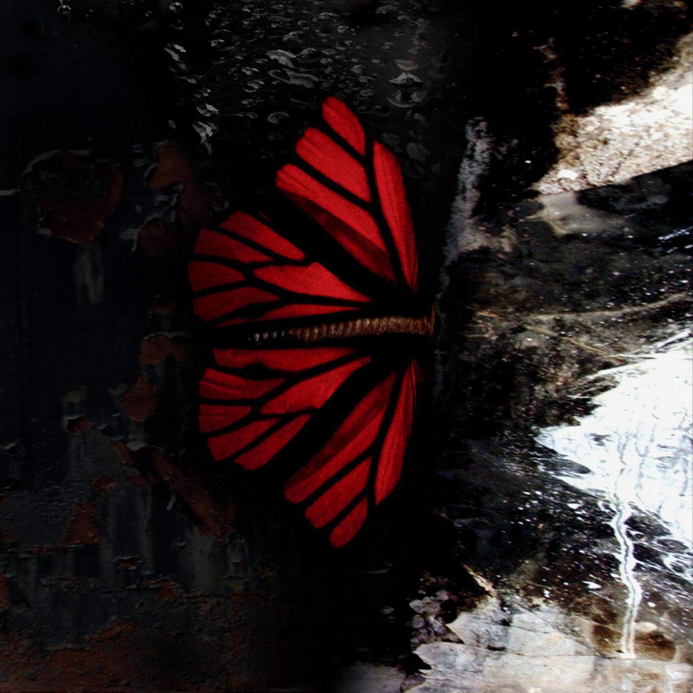 The Following Visual Was Staged