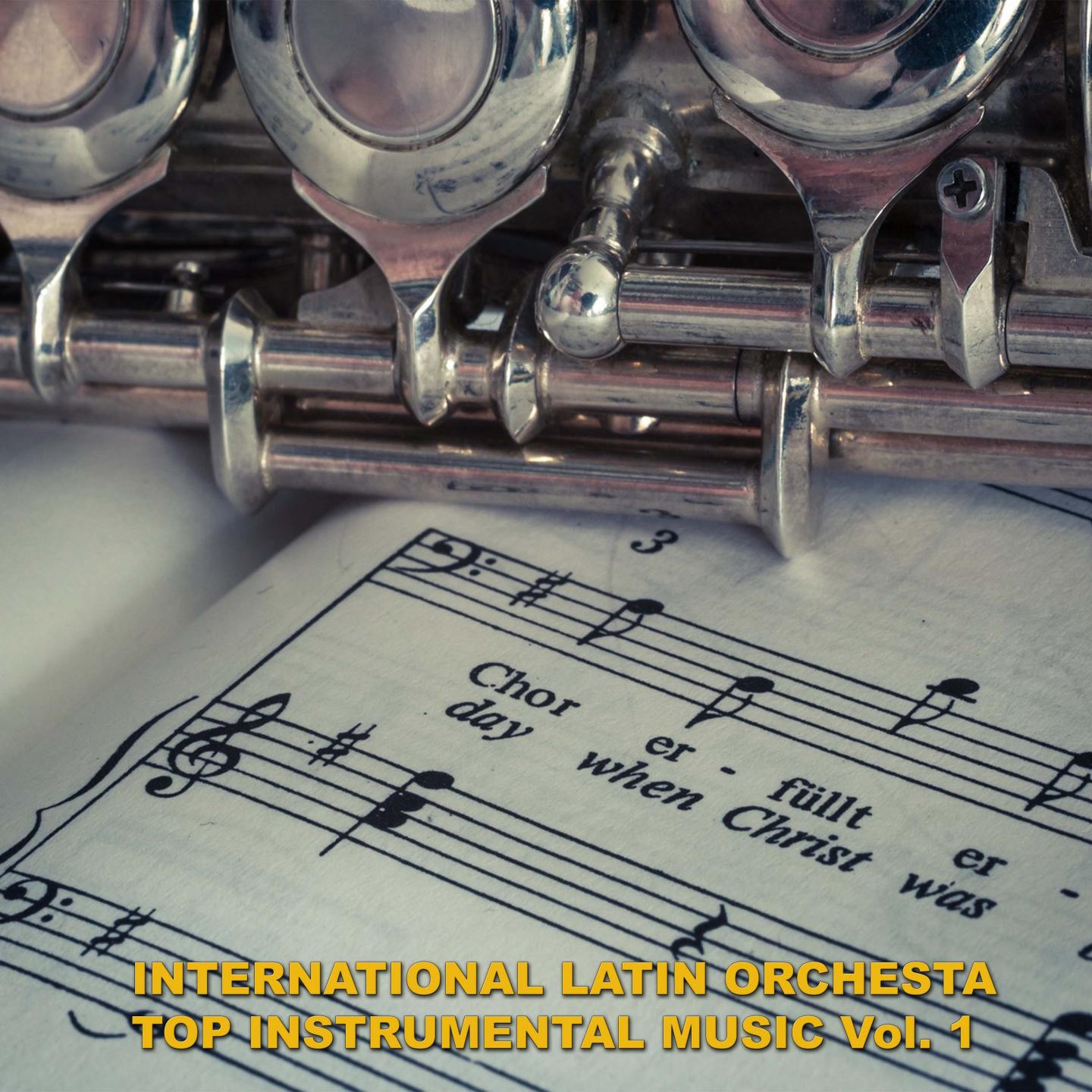 Top Instrumental Music, Vol. 1