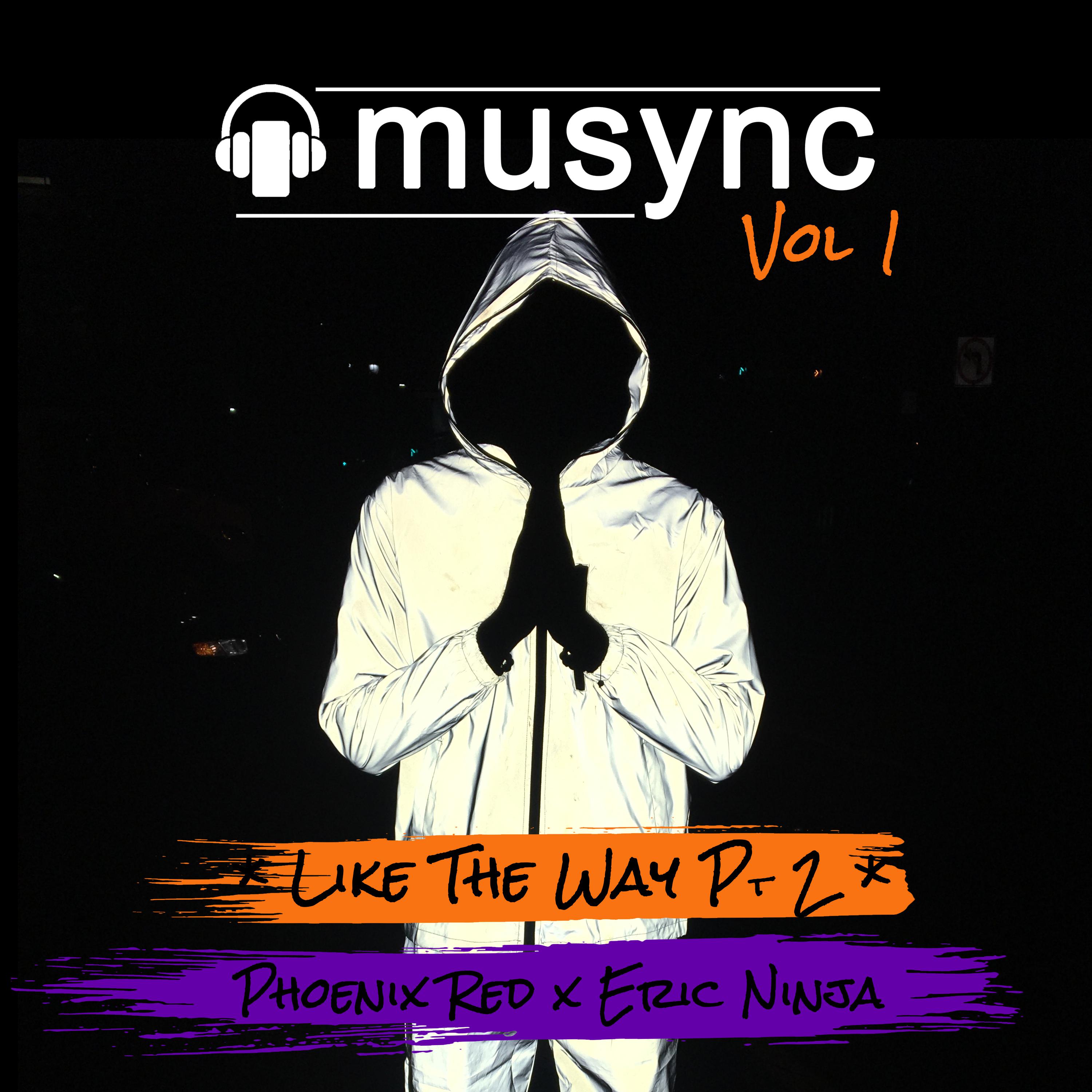 Musync Vol 1: Like The Way, Pt. 2