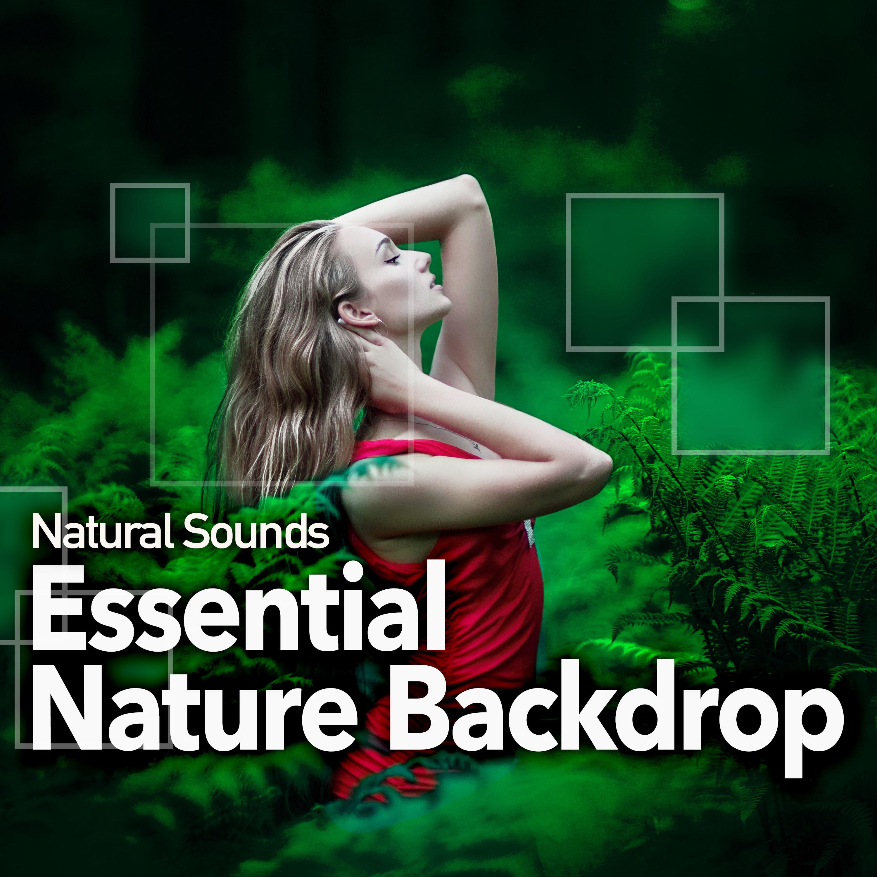 Essential Nature Backdrop